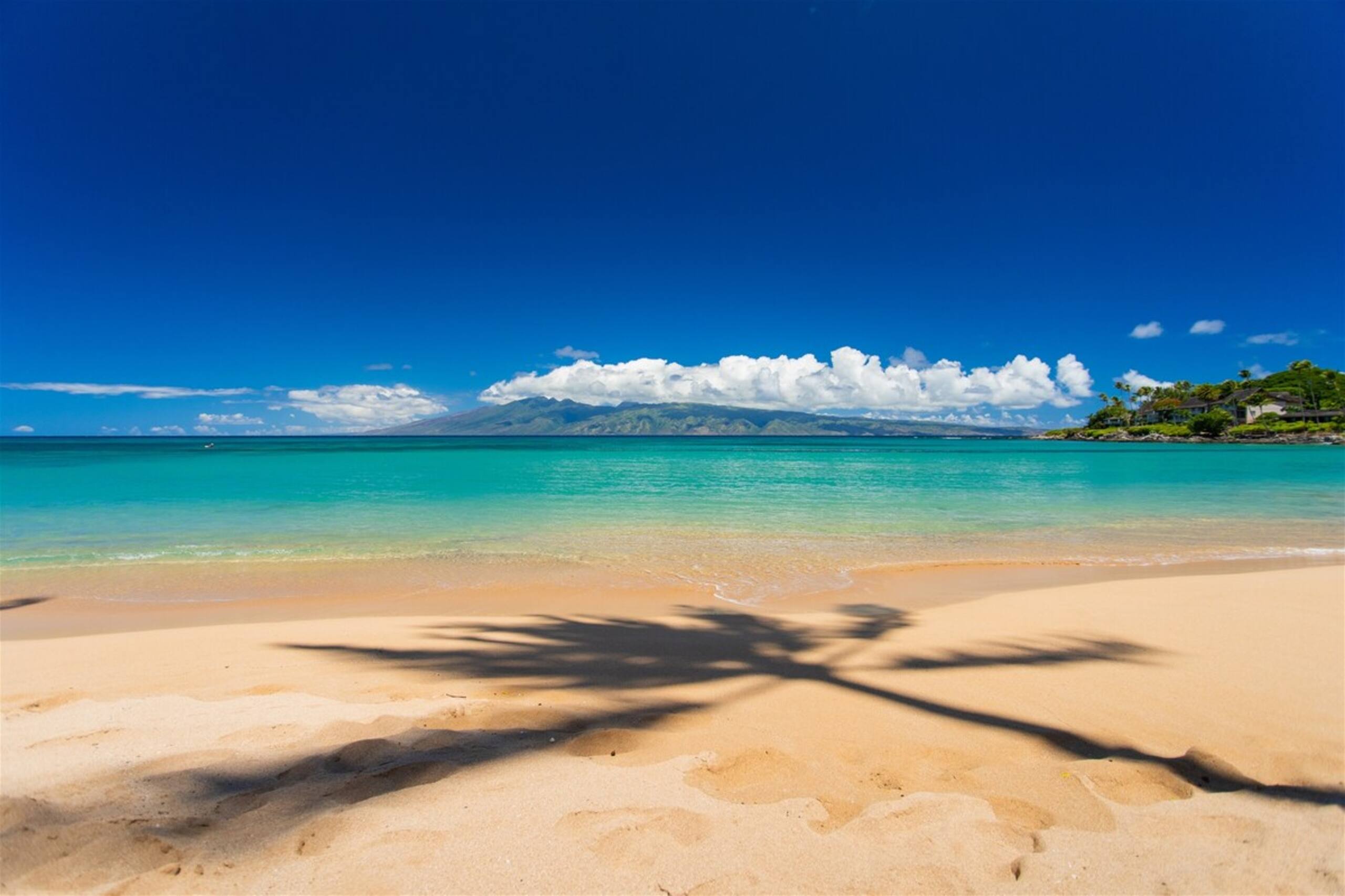 Villa in Lahaina · ★4.89 · 1 bedroom · 2 beds · 2 baths - Image 46