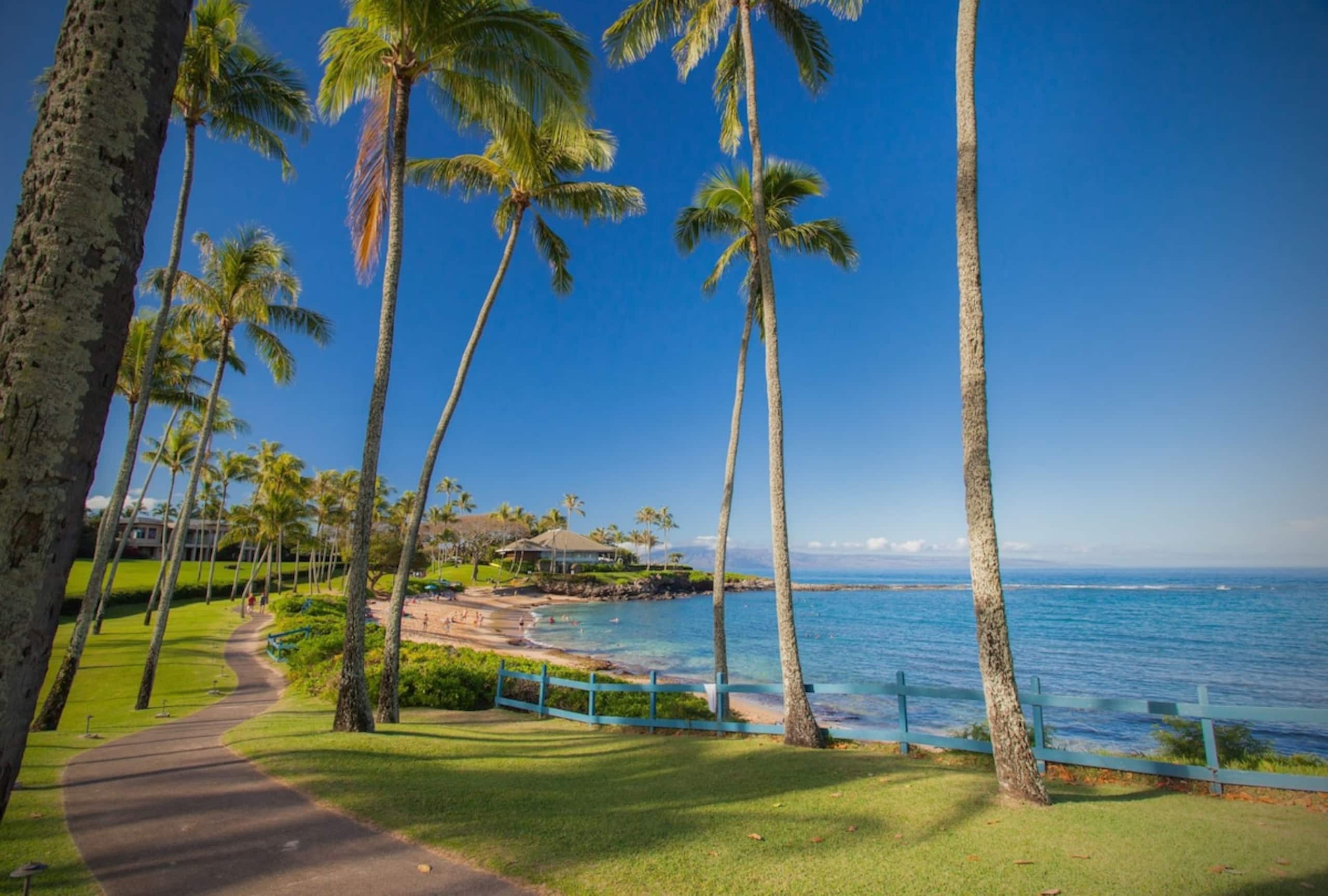 Villa in Lahaina · ★4.99 · 1 bedroom · 2 beds · 2 baths - Image 34