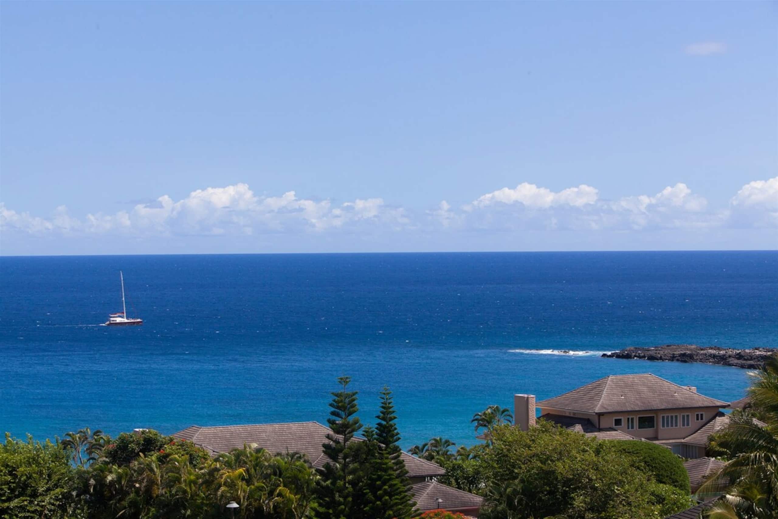 Villa in Lahaina · ★4.99 · 1 bedroom · 2 beds · 2 baths - Image 18