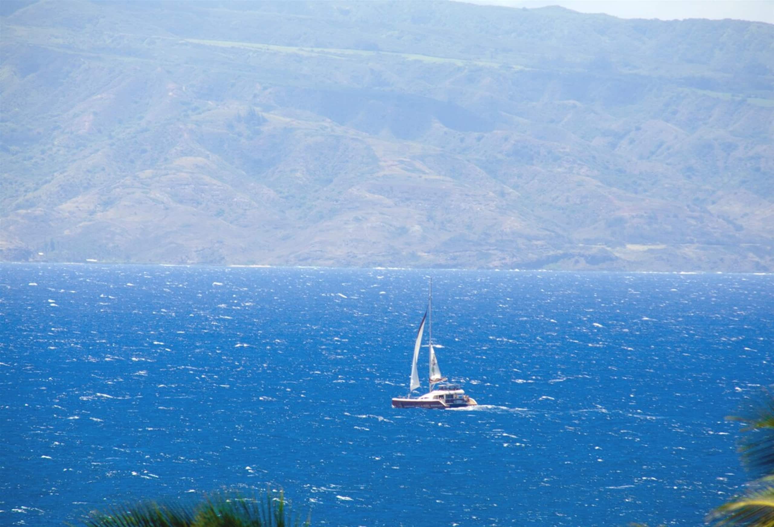 Villa in Lahaina · ★4.99 · 1 bedroom · 2 beds · 2 baths - Image 14