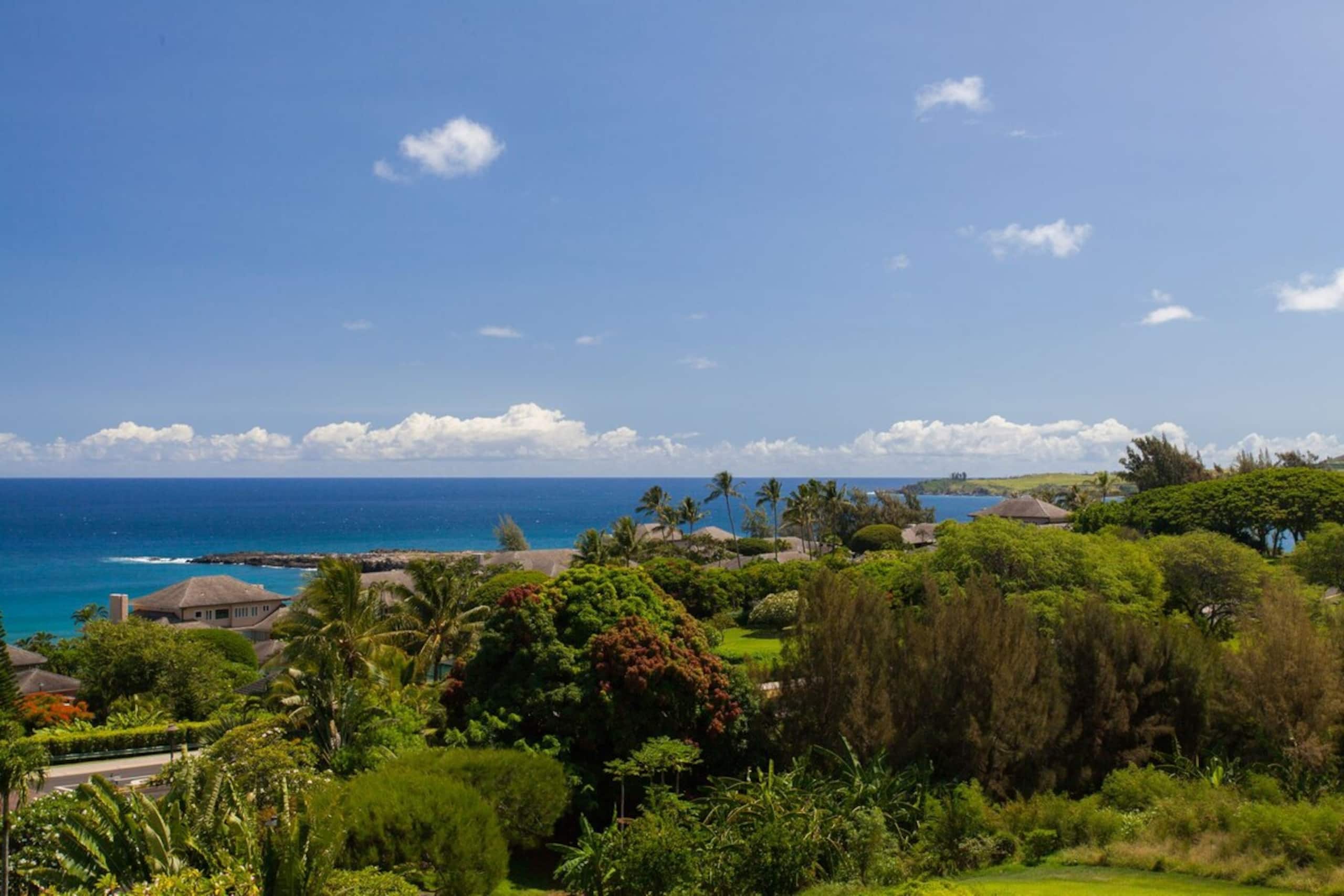Villa in Lahaina · ★4.99 · 1 bedroom · 2 beds · 2 baths - Image 27