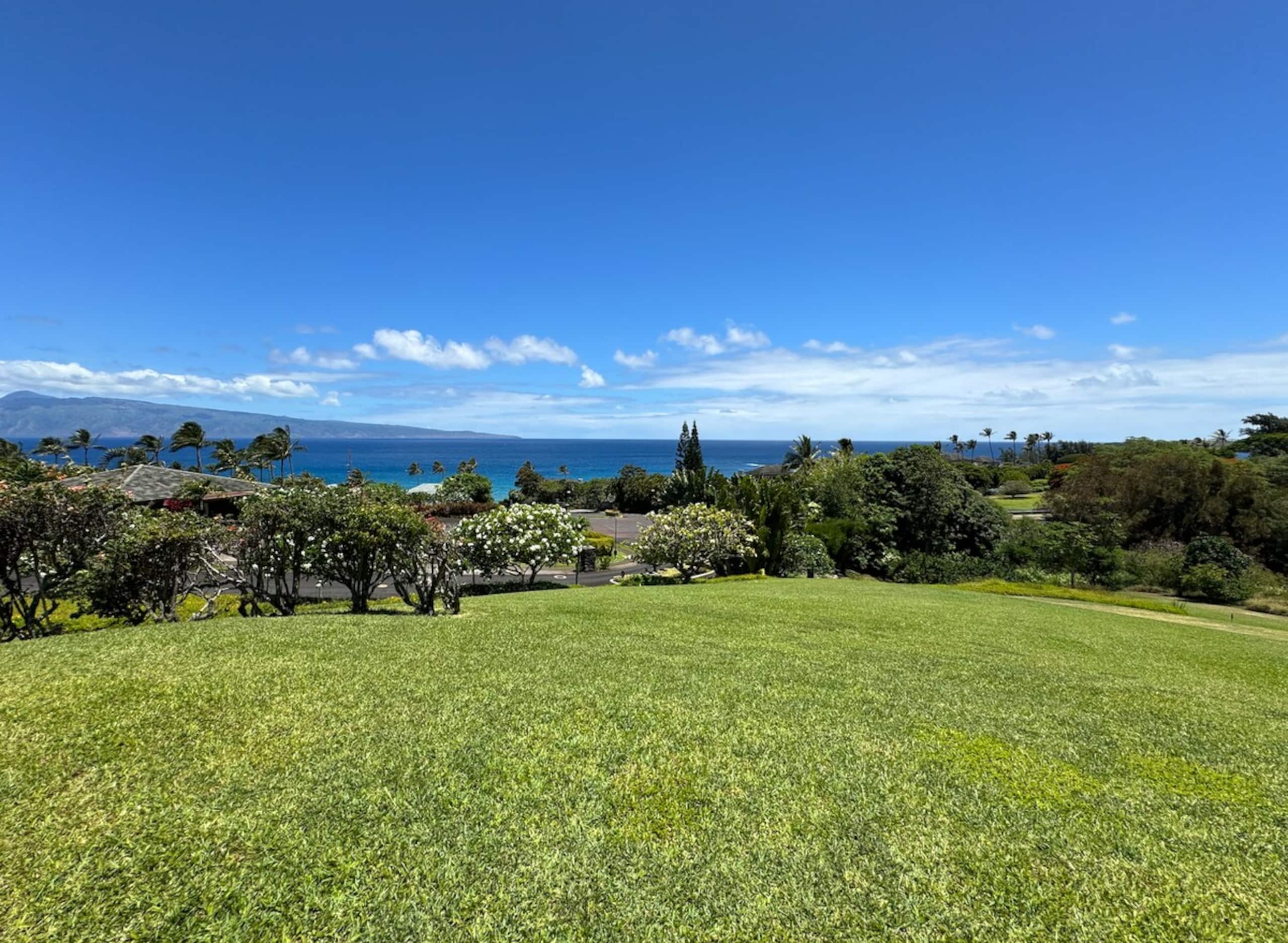 Villa in Lahaina · ★4.99 · 1 bedroom · 2 beds · 2 baths - Image 12