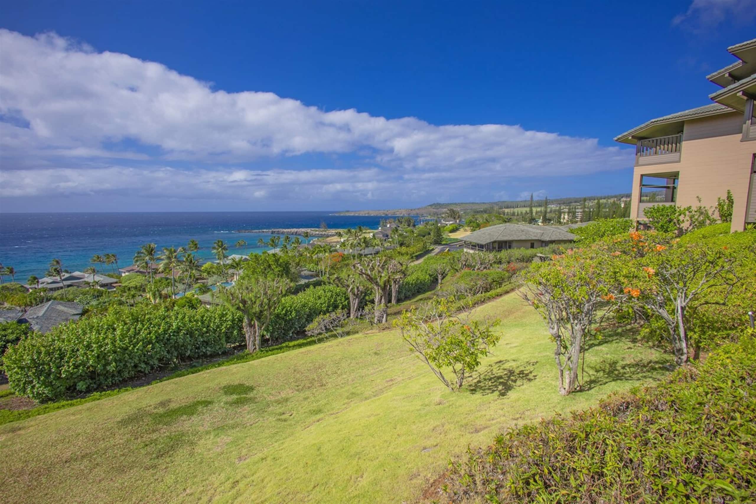 Villa in Lahaina · ★4.91 · 1 bedroom · 2 beds · 2 baths - Image 43