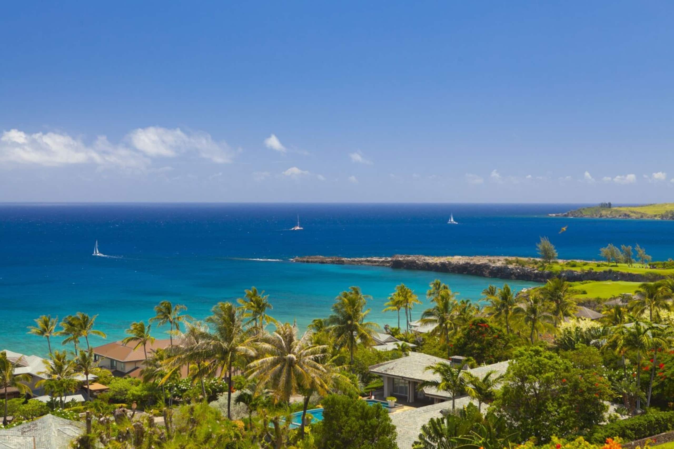 Villa in Lahaina · ★4.91 · 1 bedroom · 2 beds · 2 baths - Image 18