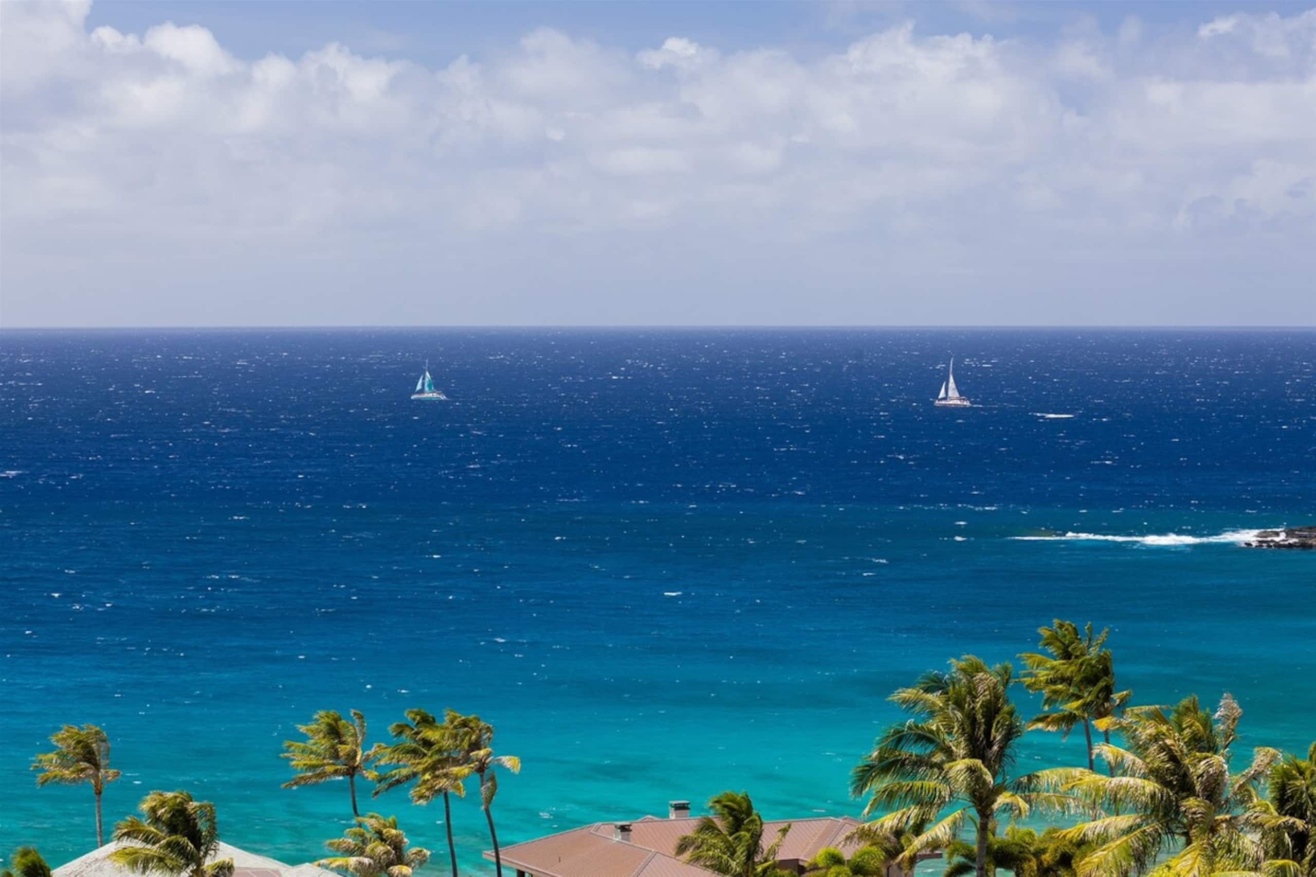 Villa in Lahaina · ★4.91 · 1 bedroom · 2 beds · 2 baths - Image 21
