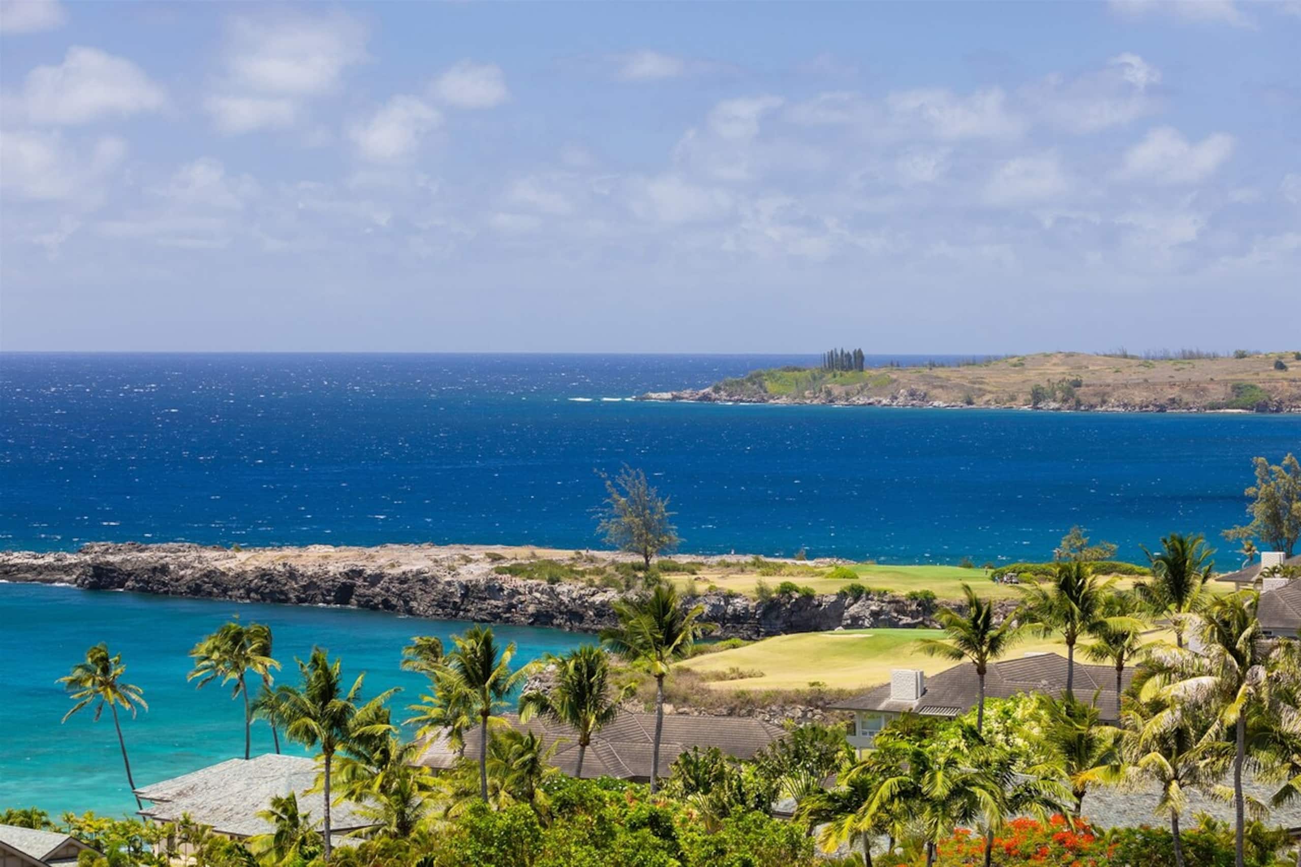 Villa in Lahaina · ★4.91 · 1 bedroom · 2 beds · 2 baths - Image 22