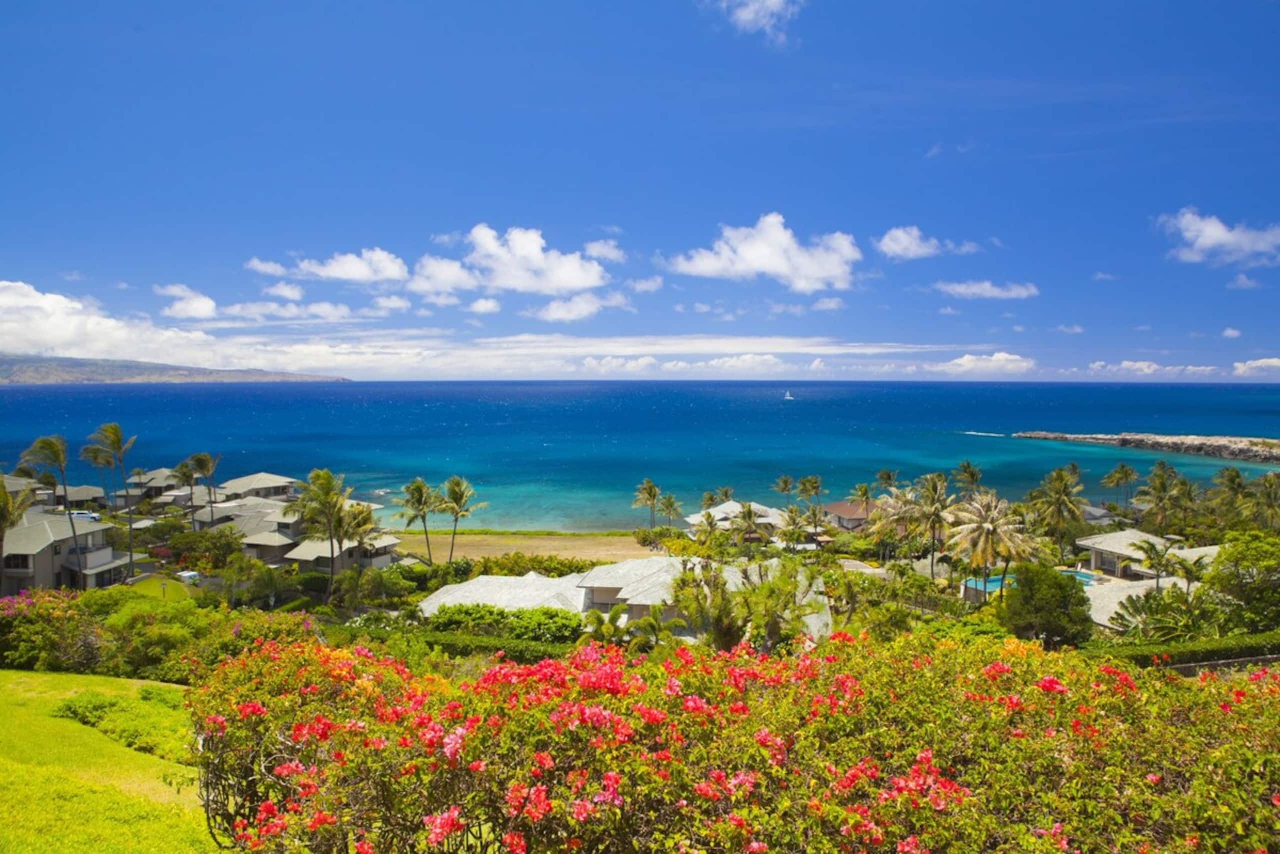 Villa in Lahaina · ★4.91 · 1 bedroom · 2 beds · 2 baths - Image 3