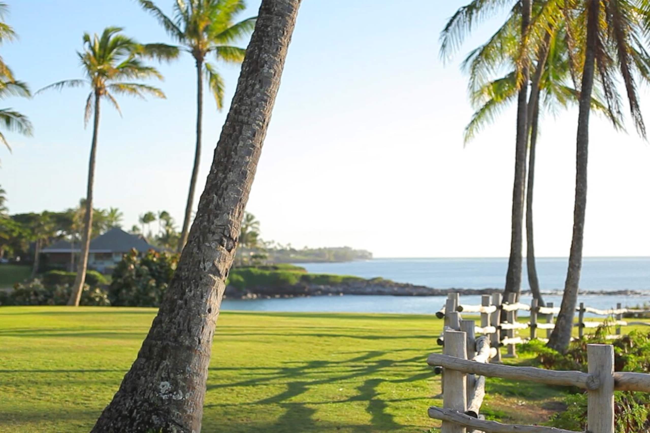 Villa in Lahaina · ★4.91 · 1 bedroom · 2 beds · 2 baths - Image 68