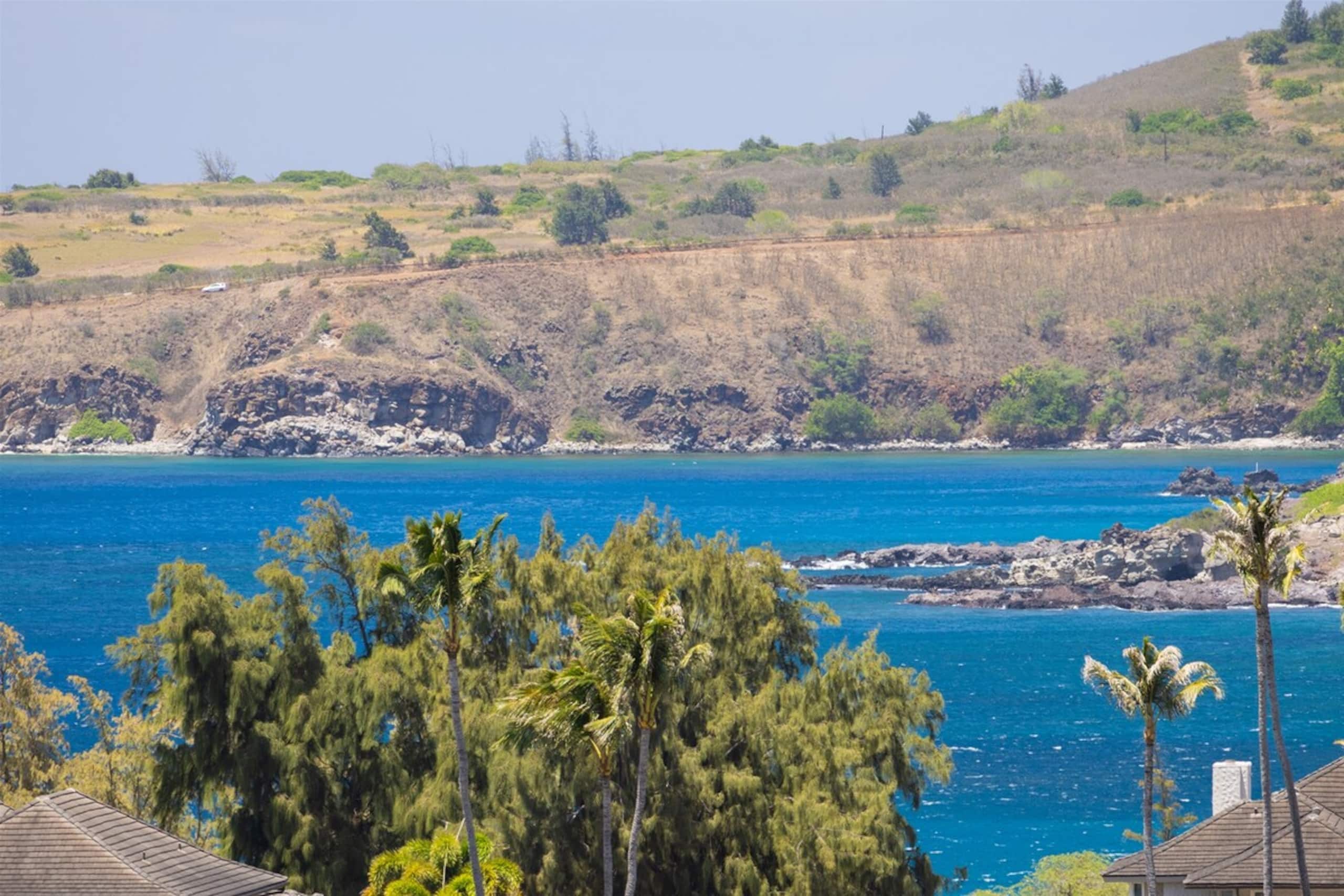 Villa in Lahaina · ★4.91 · 1 bedroom · 2 beds · 2 baths - Image 25