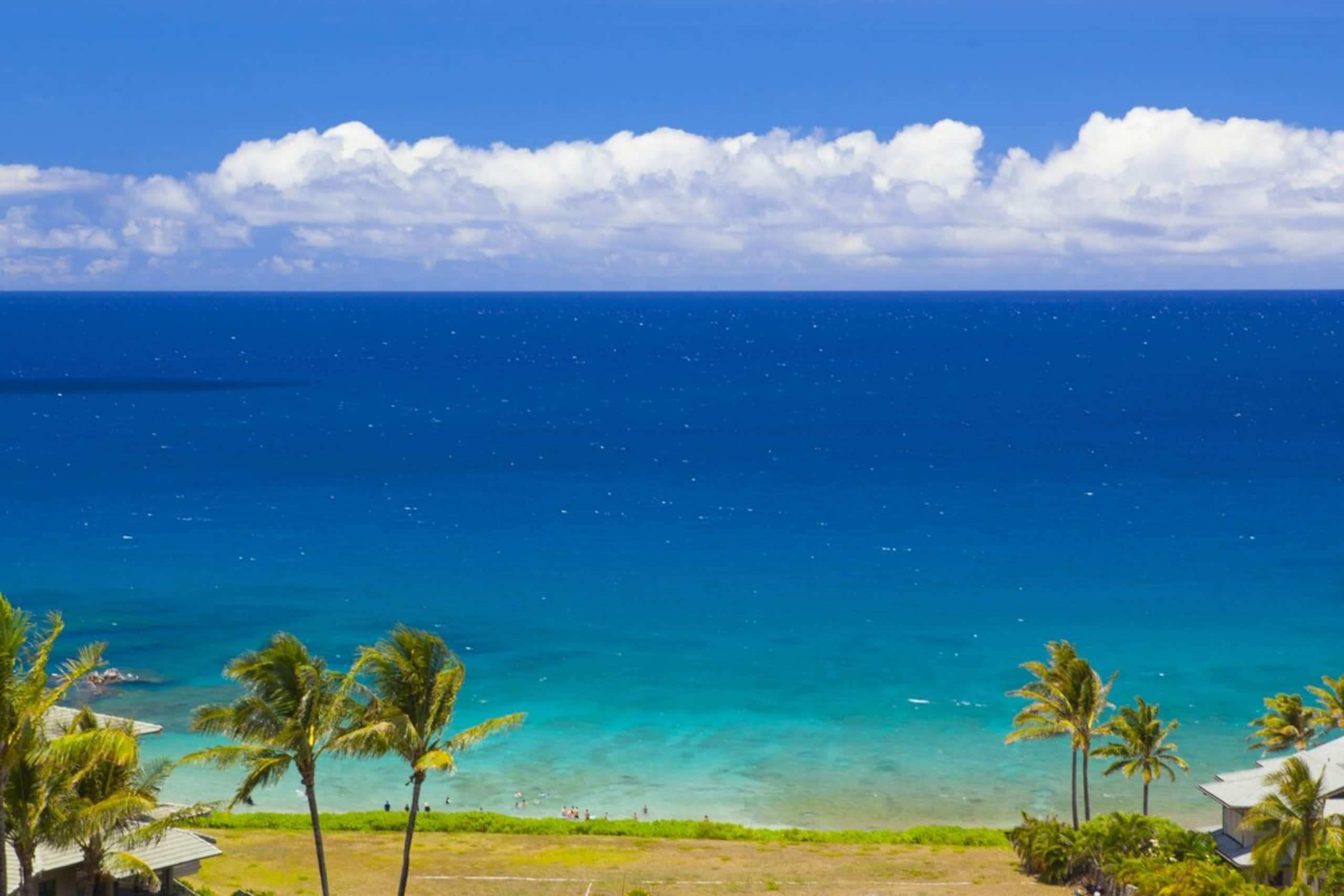 Villa in Lahaina · ★4.91 · 1 bedroom · 2 beds · 2 baths - Image 15