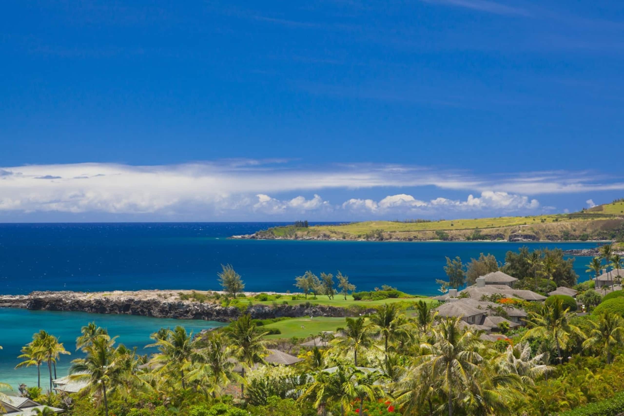 Villa in Lahaina · ★4.91 · 1 bedroom · 2 beds · 2 baths - Image 4