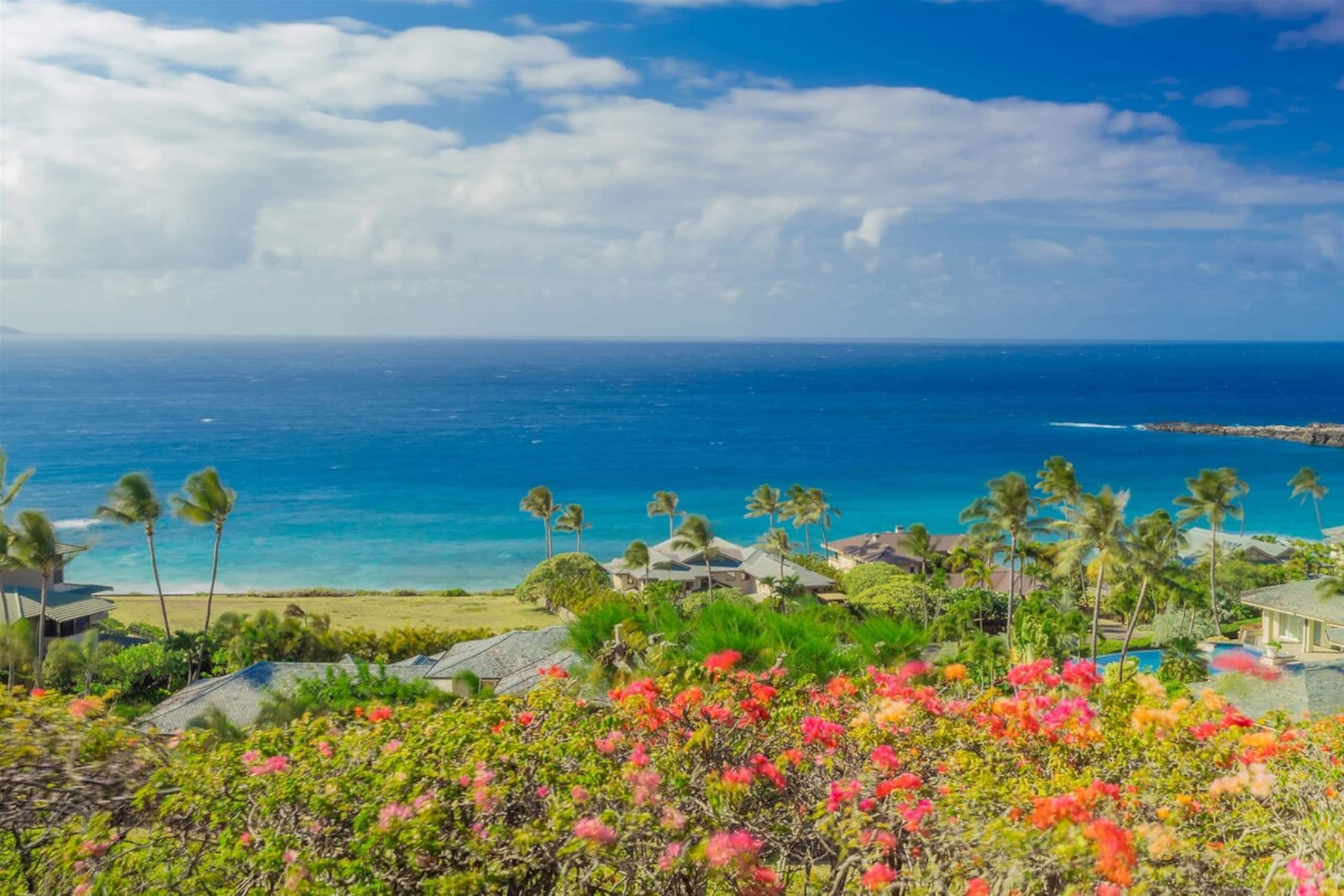 Villa in Lahaina · ★4.91 · 1 bedroom · 2 beds · 2 baths - Image 17