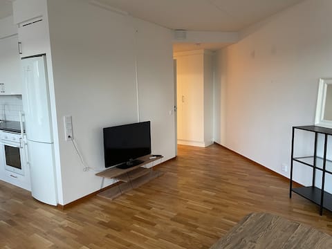 2 separate bedroom apt in Stockholm
