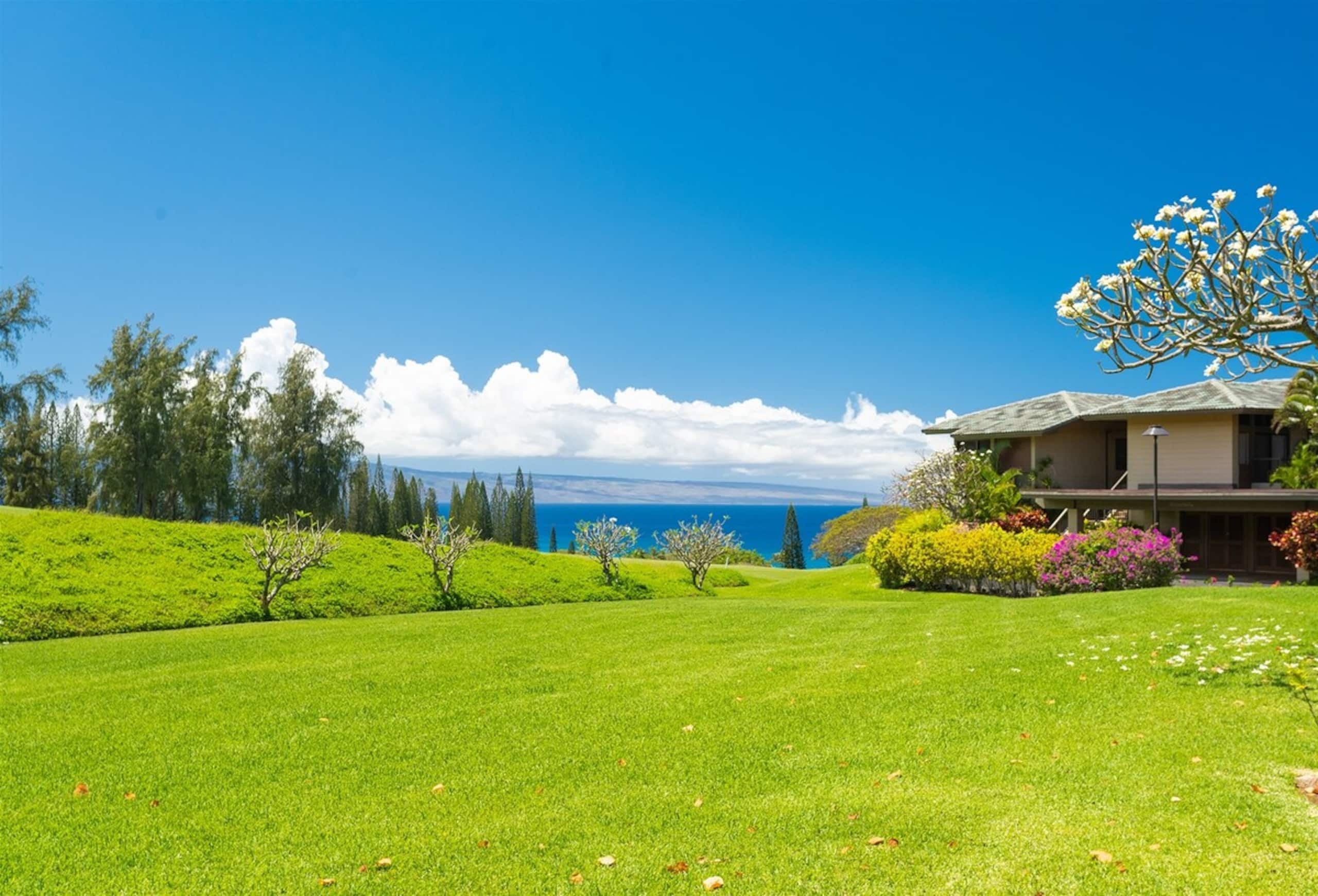 Villa in Lahaina · ★4.94 · 1 bedroom · 2 beds · 2 baths - Image 11