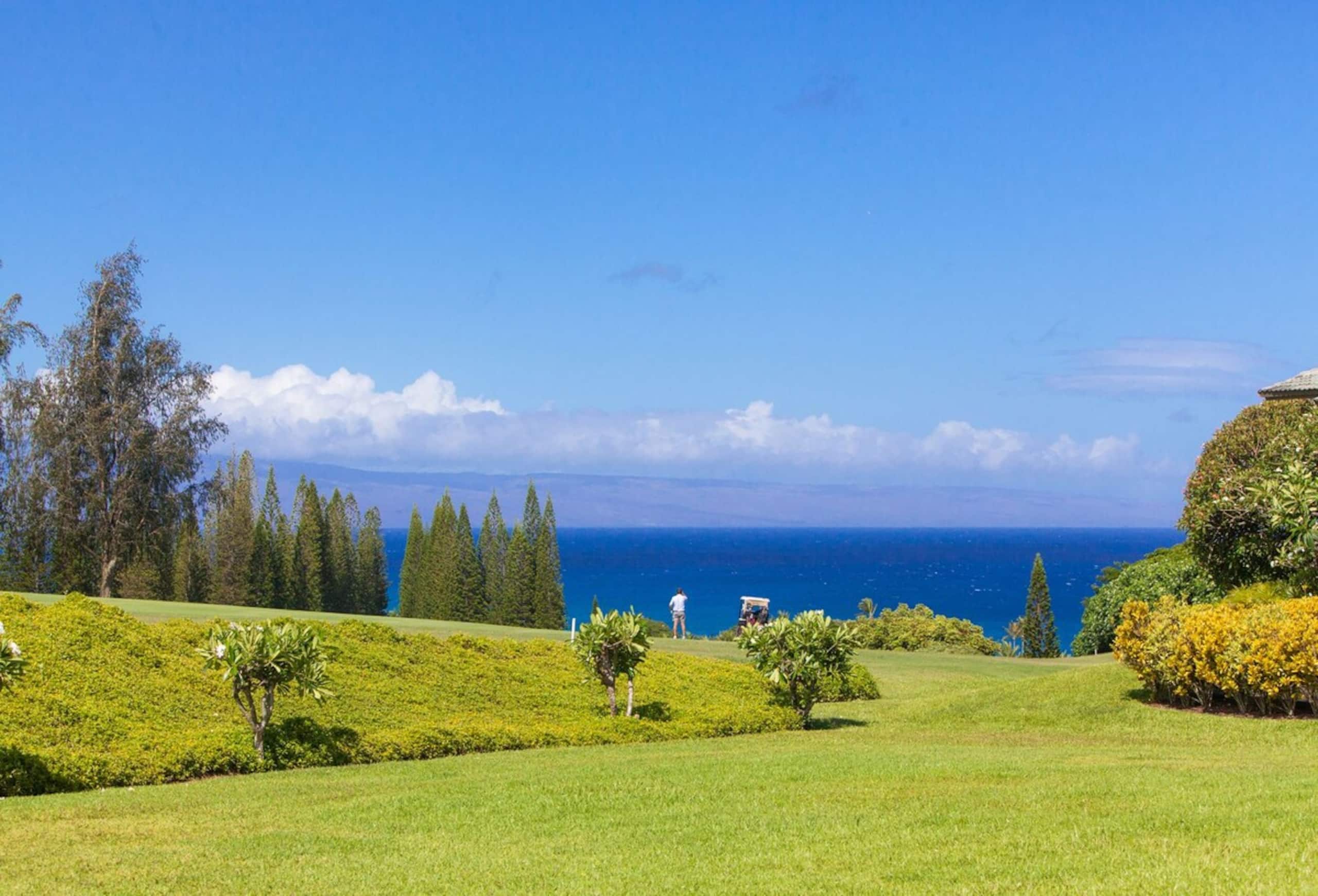 Villa in Lahaina · ★4.94 · 1 bedroom · 2 beds · 2 baths - Image 12