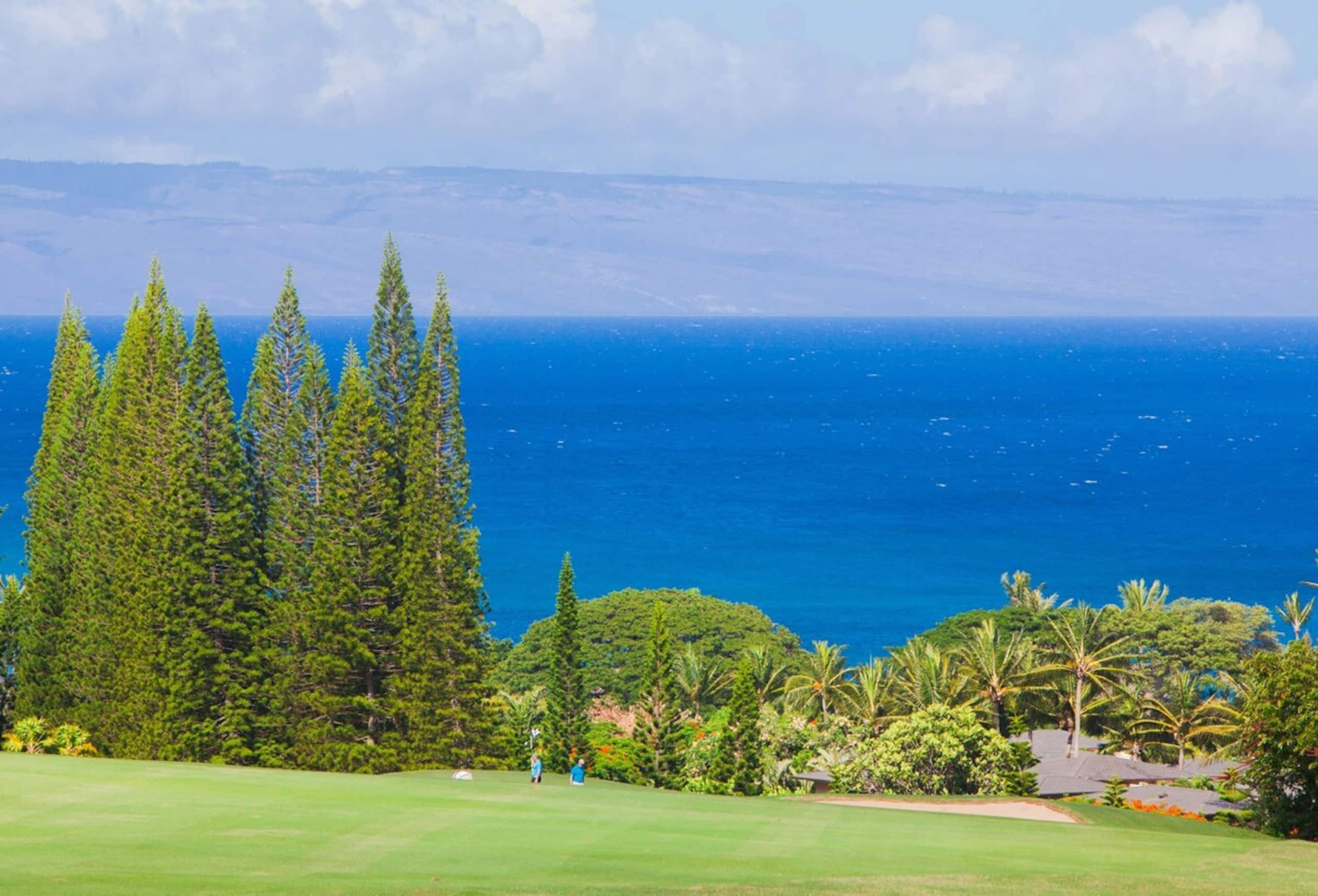 Villa in Lahaina · ★4.94 · 1 bedroom · 2 beds · 2 baths - Image 36