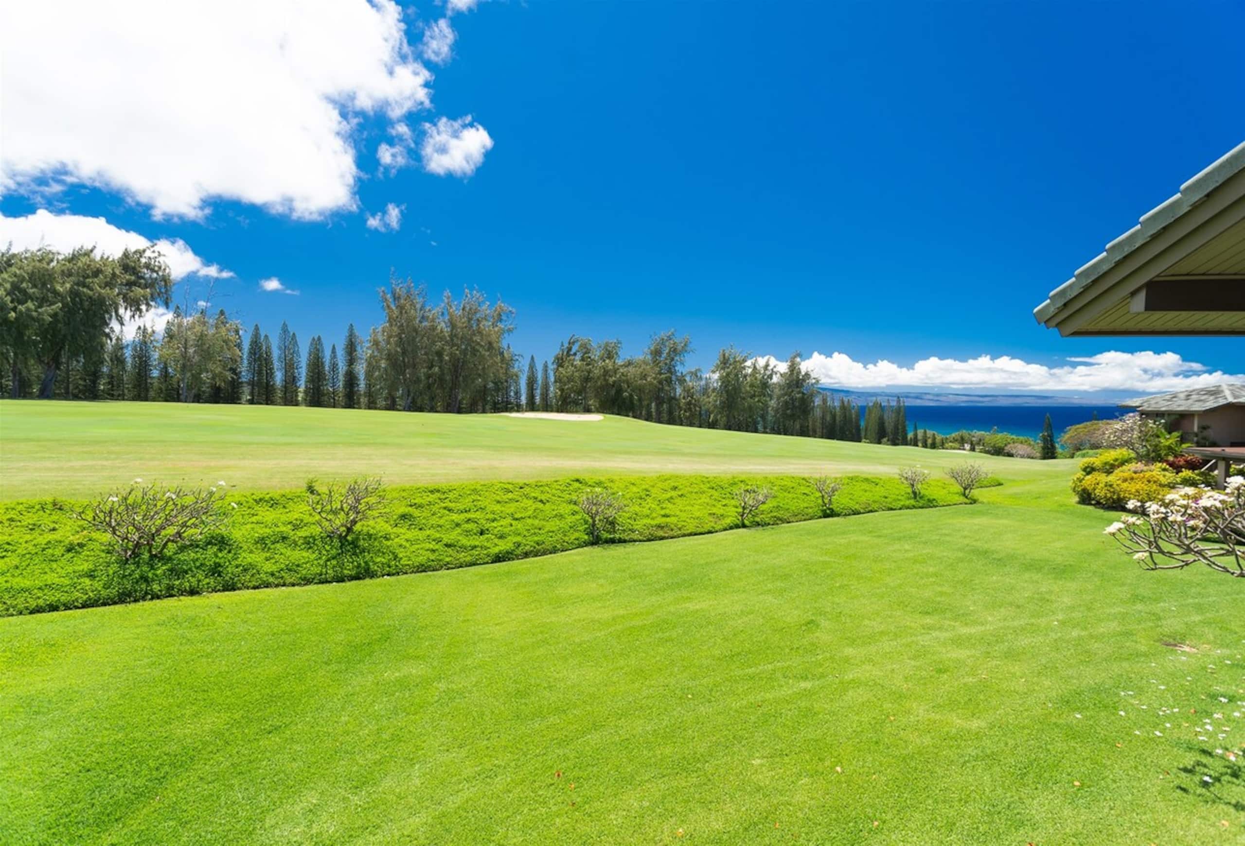 Villa in Lahaina · ★4.94 · 1 bedroom · 2 beds · 2 baths - Image 35