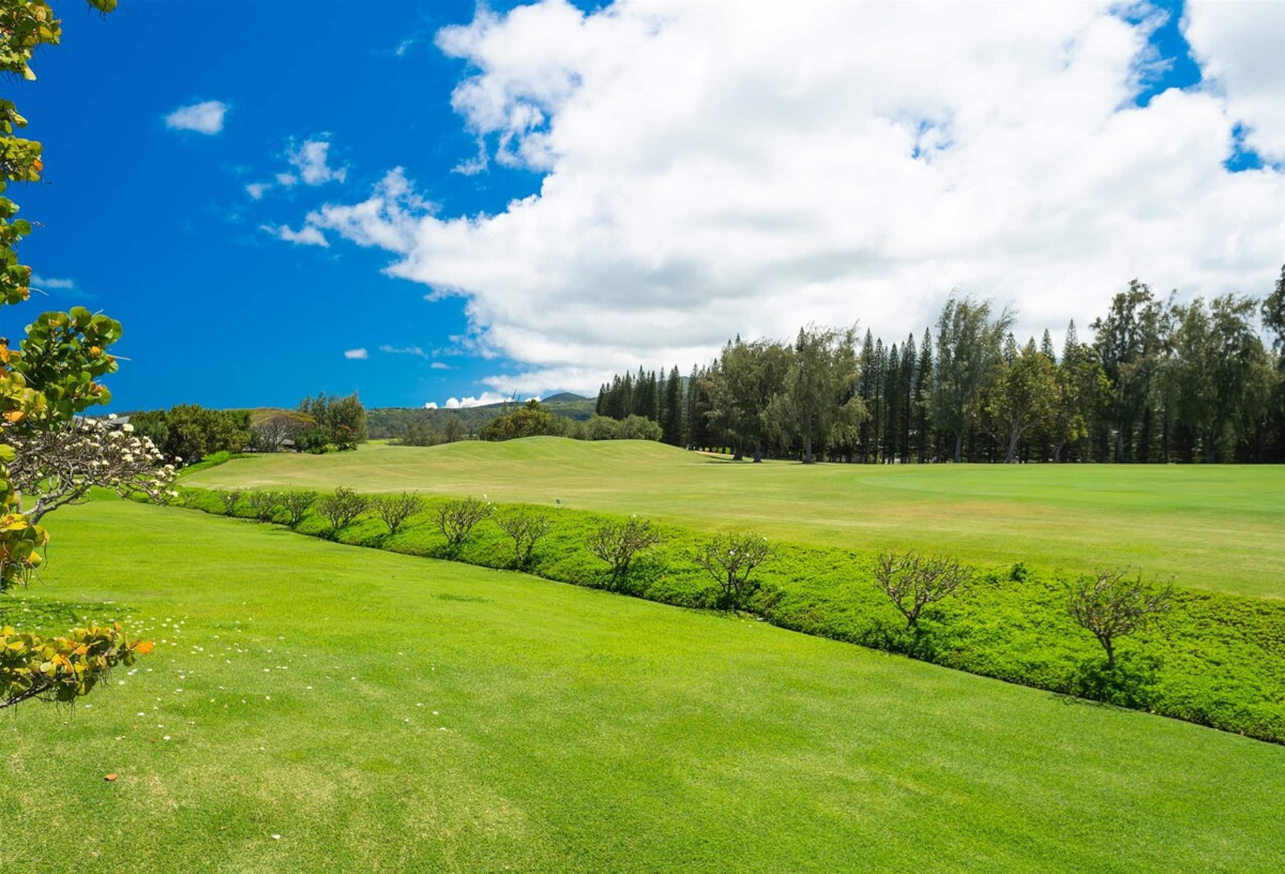Villa in Lahaina · ★4.94 · 1 bedroom · 2 beds · 2 baths - Image 33