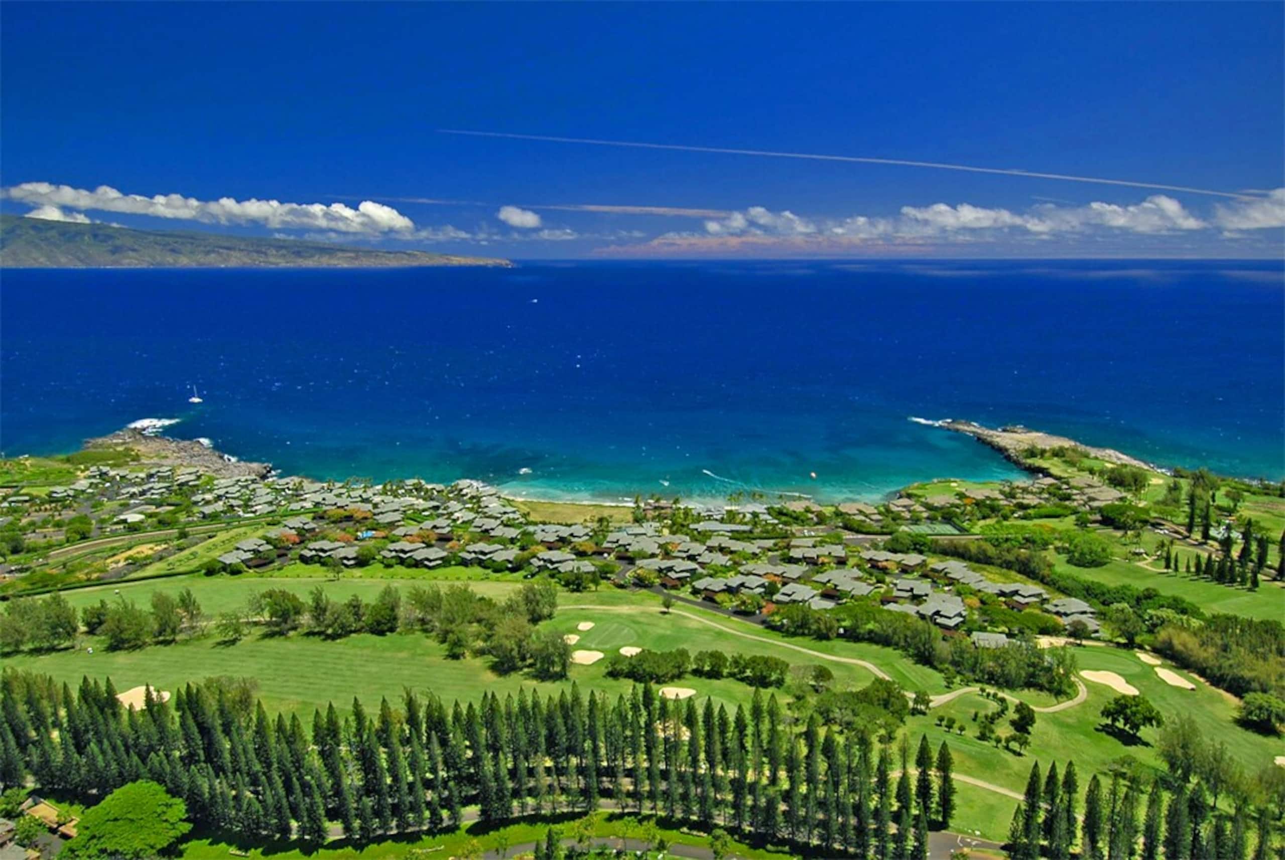 Villa in Lahaina · ★4.94 · 1 bedroom · 2 beds · 2 baths - Image 65