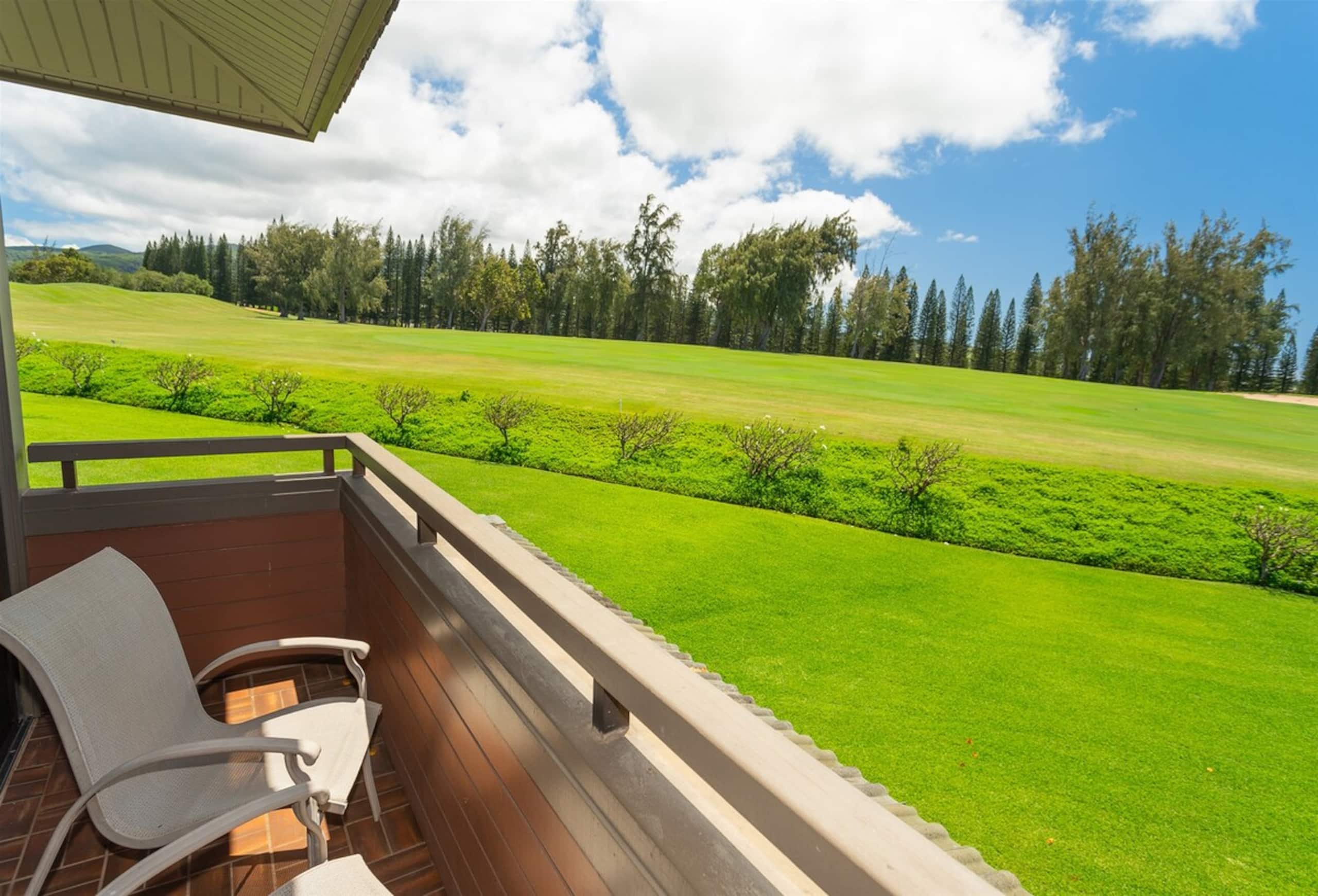 Villa in Lahaina · ★4.94 · 1 bedroom · 2 beds · 2 baths - Image 30