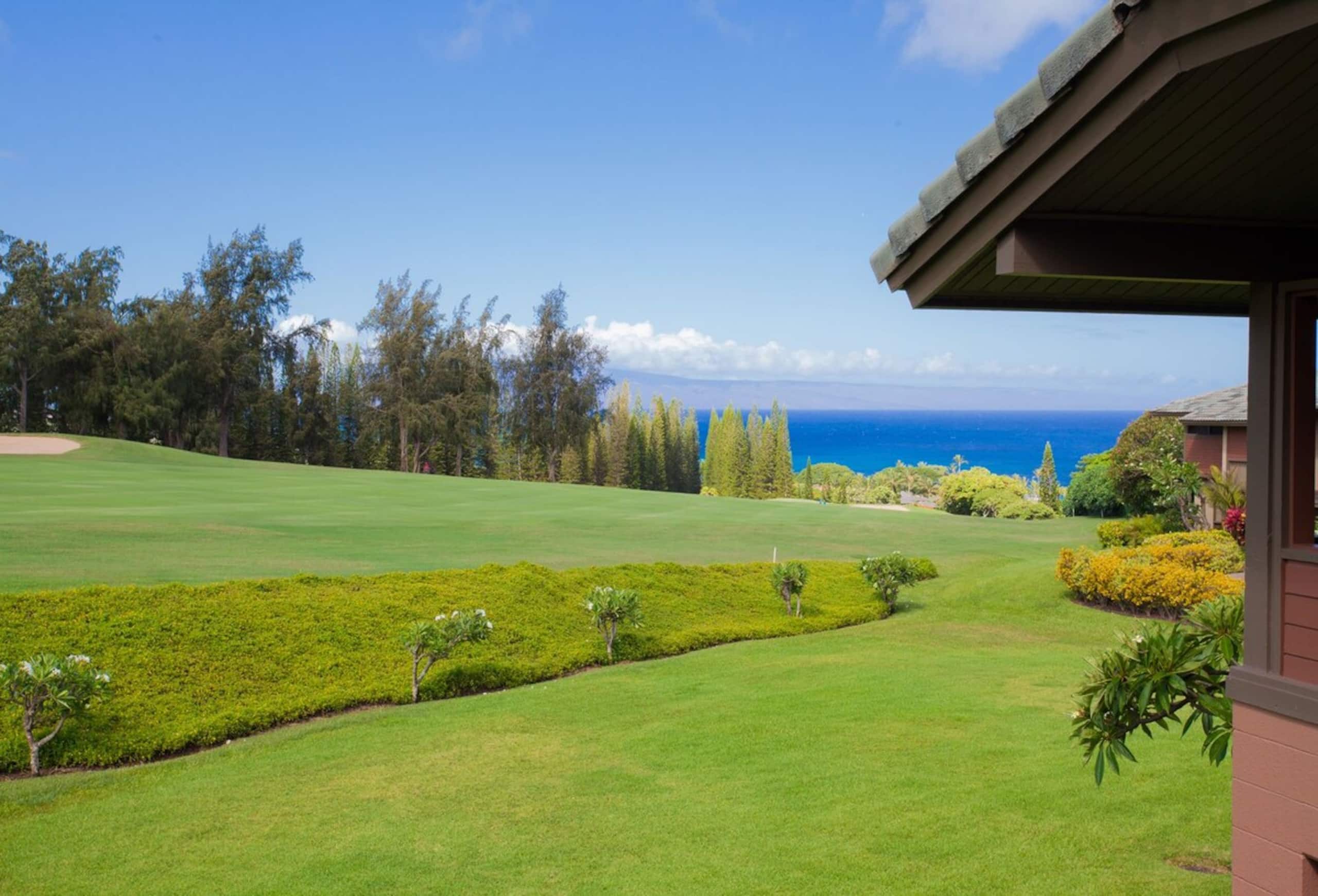 Villa in Lahaina · ★4.94 · 1 bedroom · 2 beds · 2 baths - Image 38
