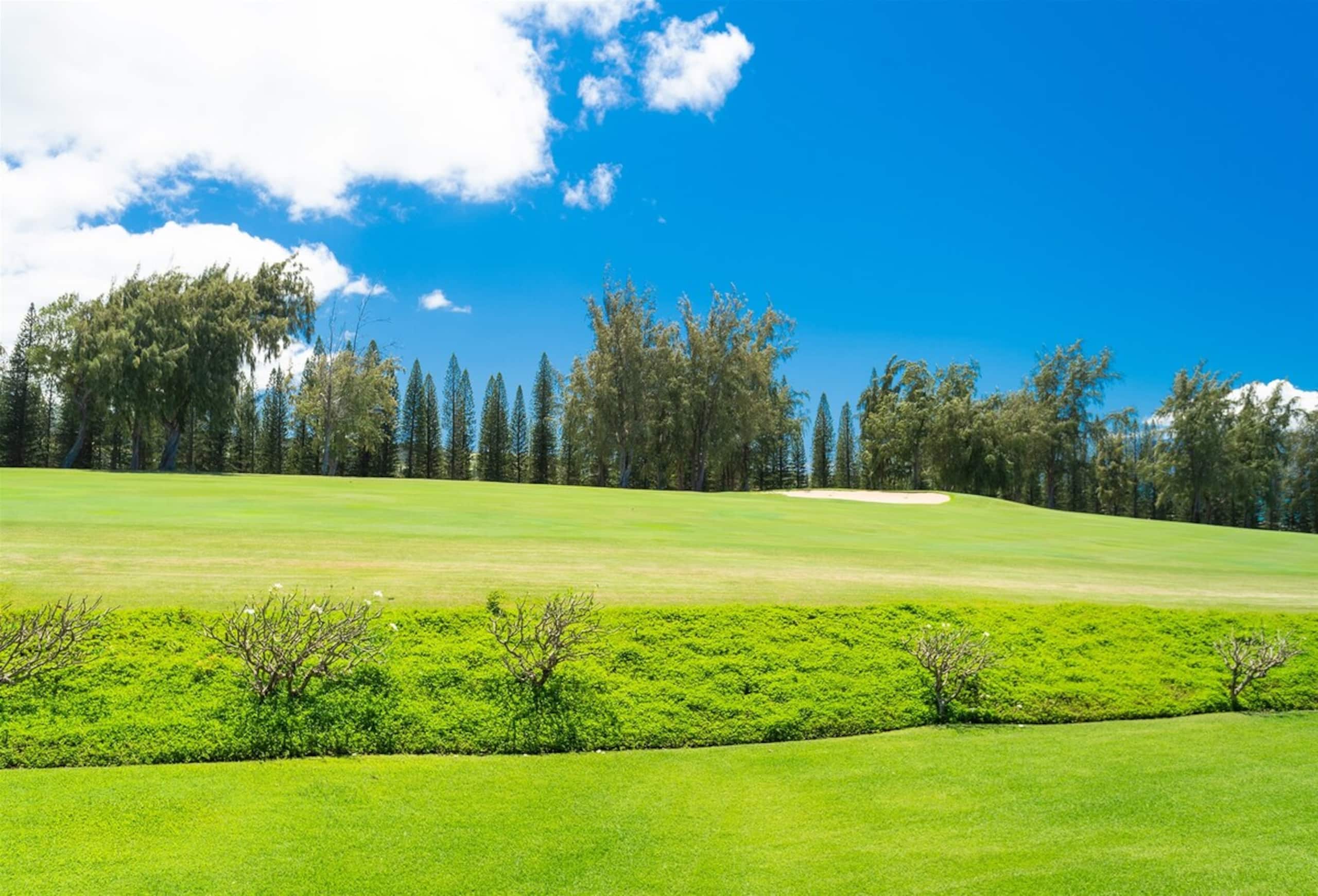 Villa in Lahaina · ★4.94 · 1 bedroom · 2 beds · 2 baths - Image 34