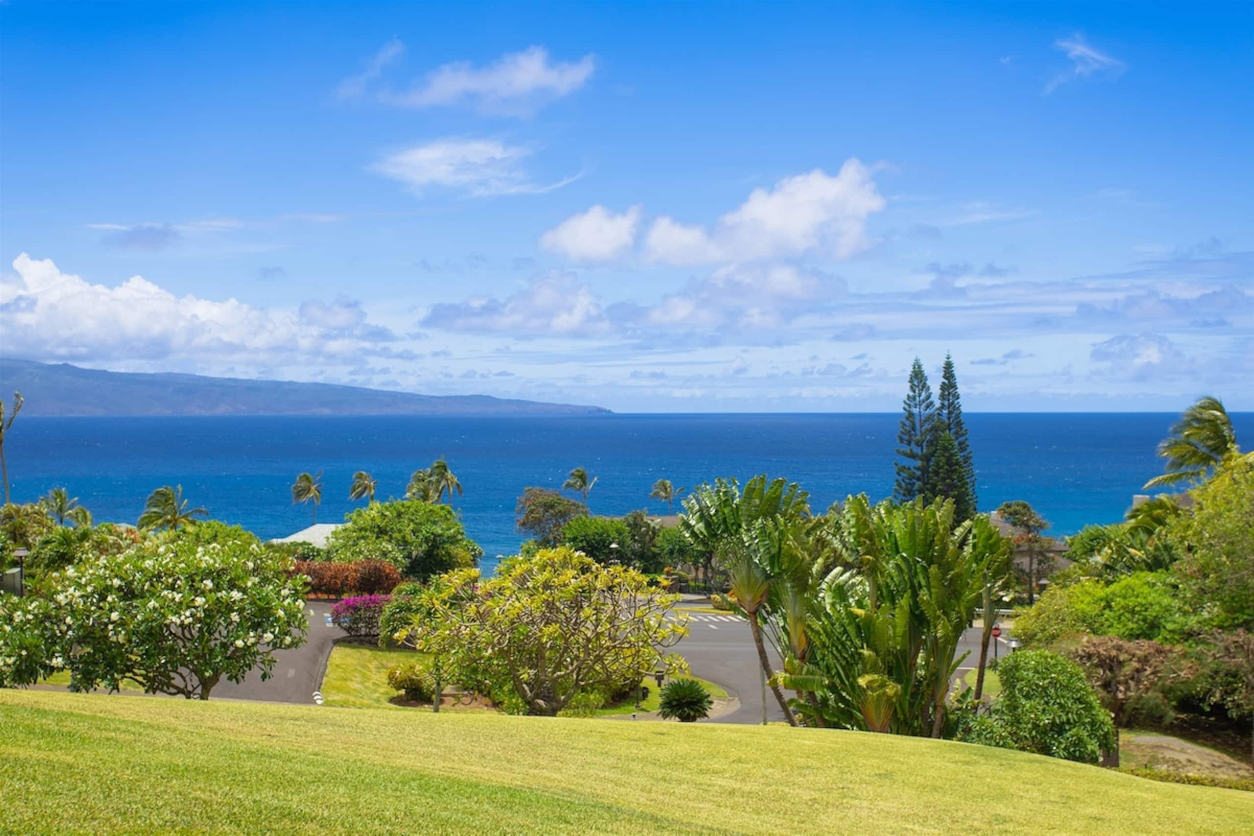 Villa in Lahaina · ★4.9 · 1 bedroom · 2 beds · 2 baths - Image 17