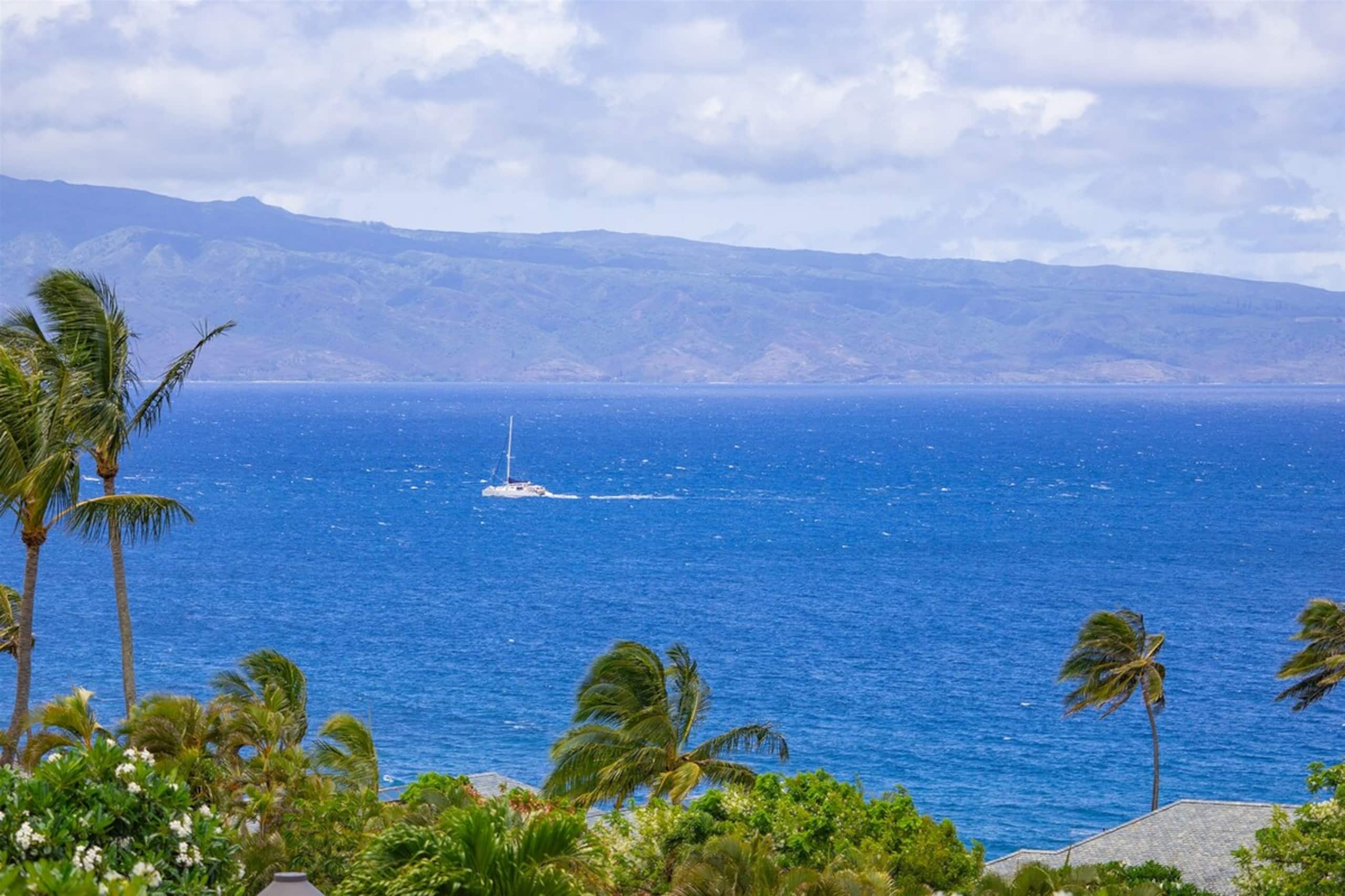 Villa in Lahaina · ★4.9 · 1 bedroom · 2 beds · 2 baths - Image 25