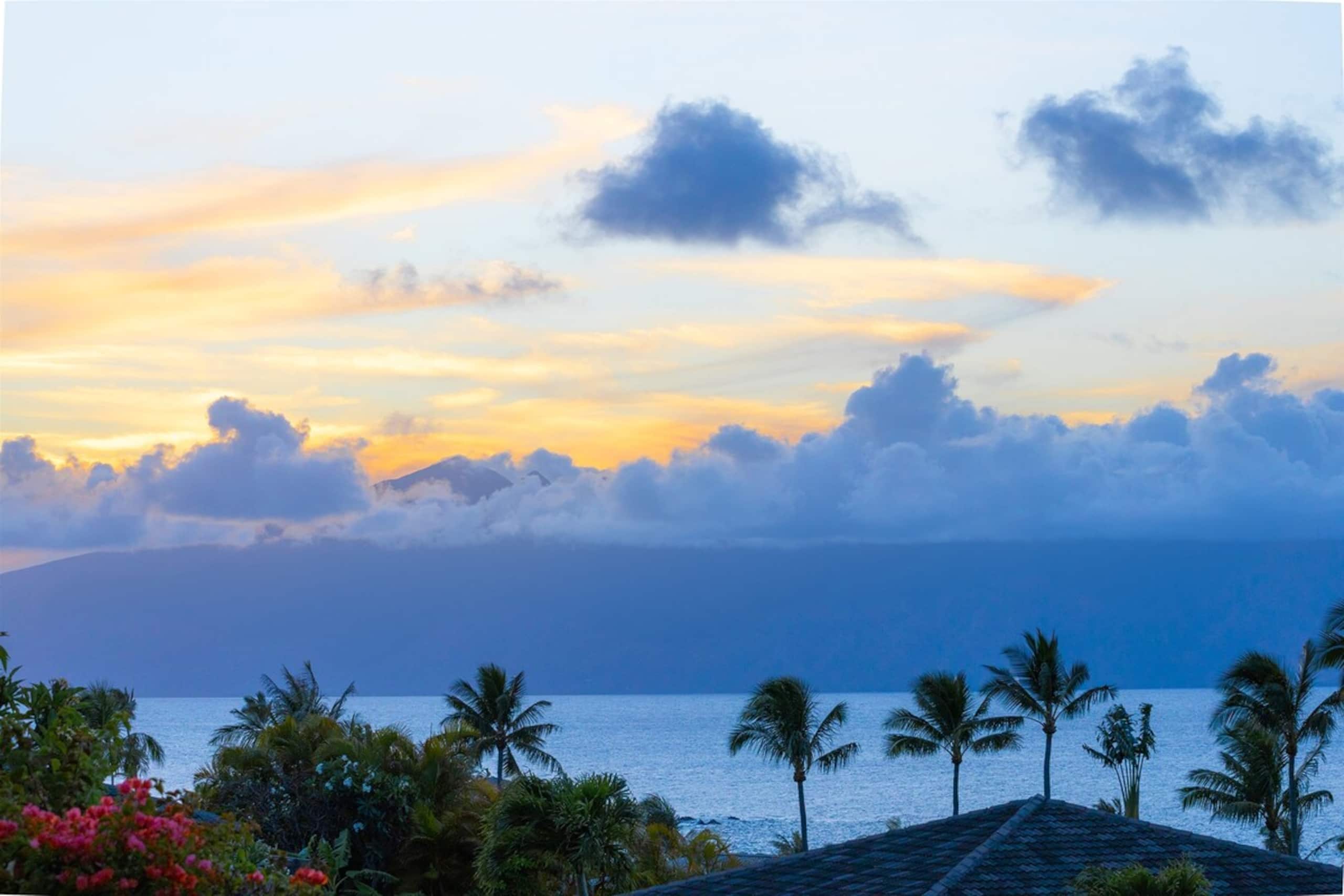 Villa in Lahaina · ★4.9 · 1 bedroom · 2 beds · 2 baths - Image 27