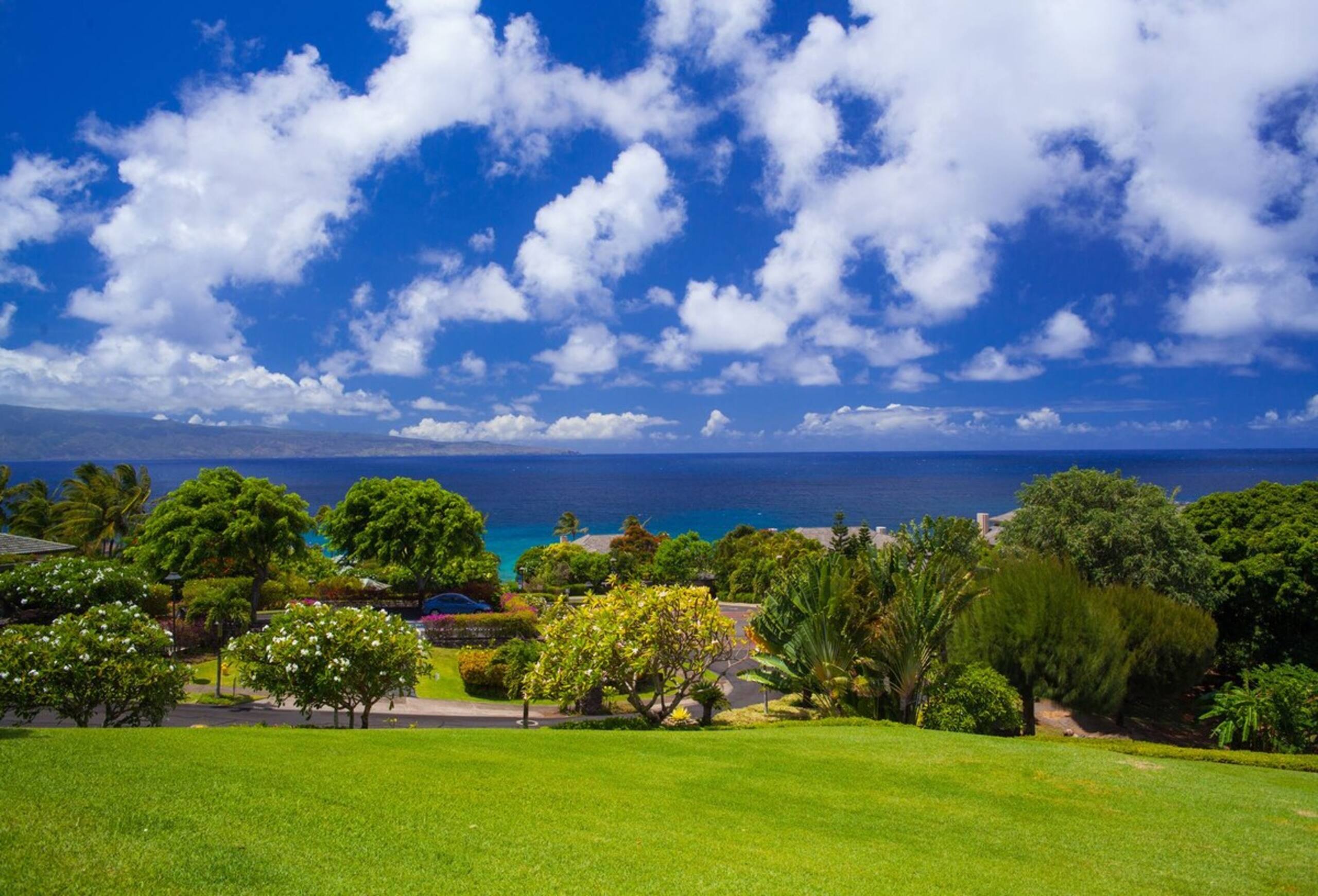 Villa in Lahaina · ★4.9 · 1 bedroom · 2 beds · 2 baths - Image 16