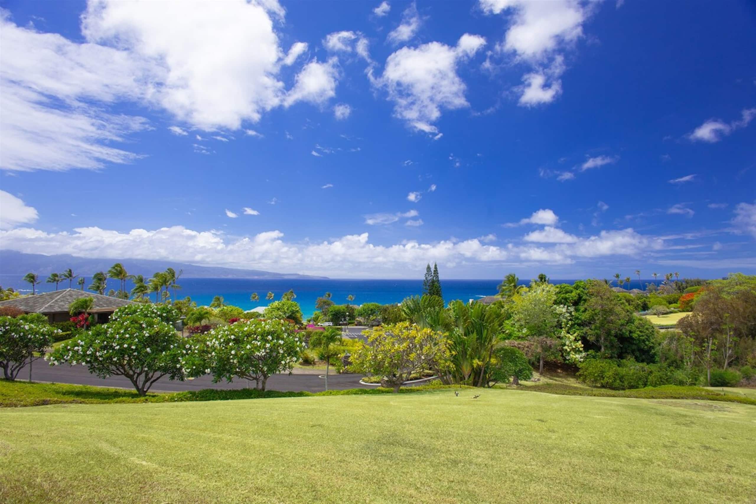 Villa in Lahaina · ★4.9 · 1 bedroom · 2 beds · 2 baths - Image 18