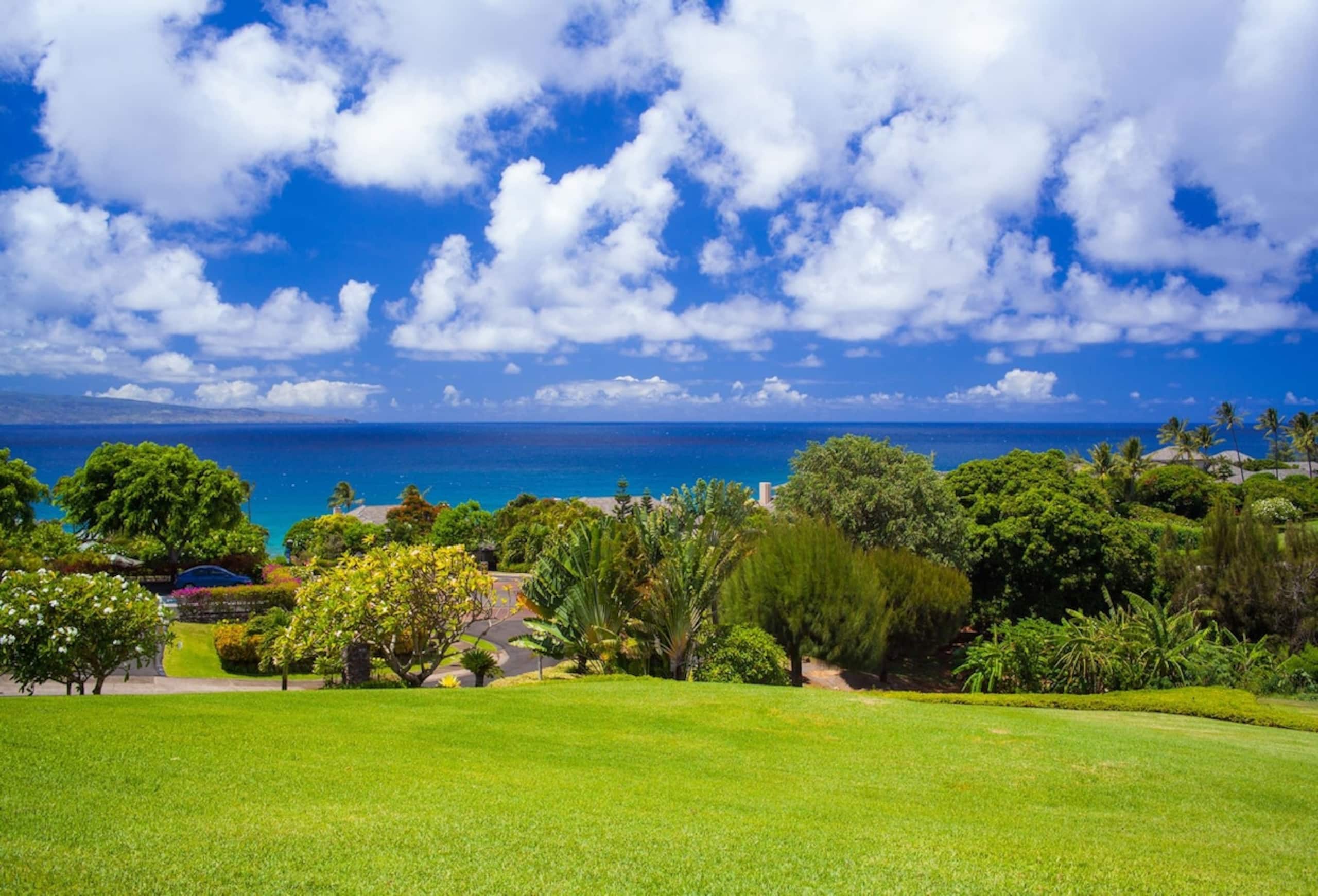 Villa in Lahaina · ★4.9 · 1 bedroom · 2 beds · 2 baths - Image 1