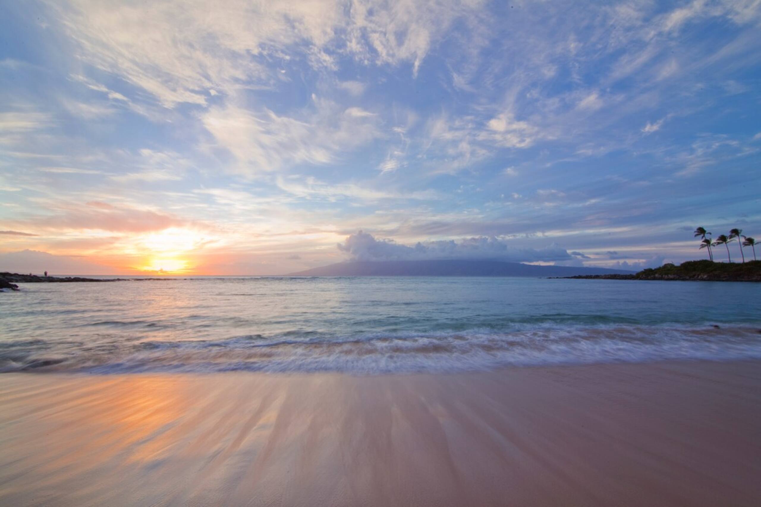 Villa in Lahaina · ★4.9 · 1 bedroom · 2 beds · 2 baths - Image 74