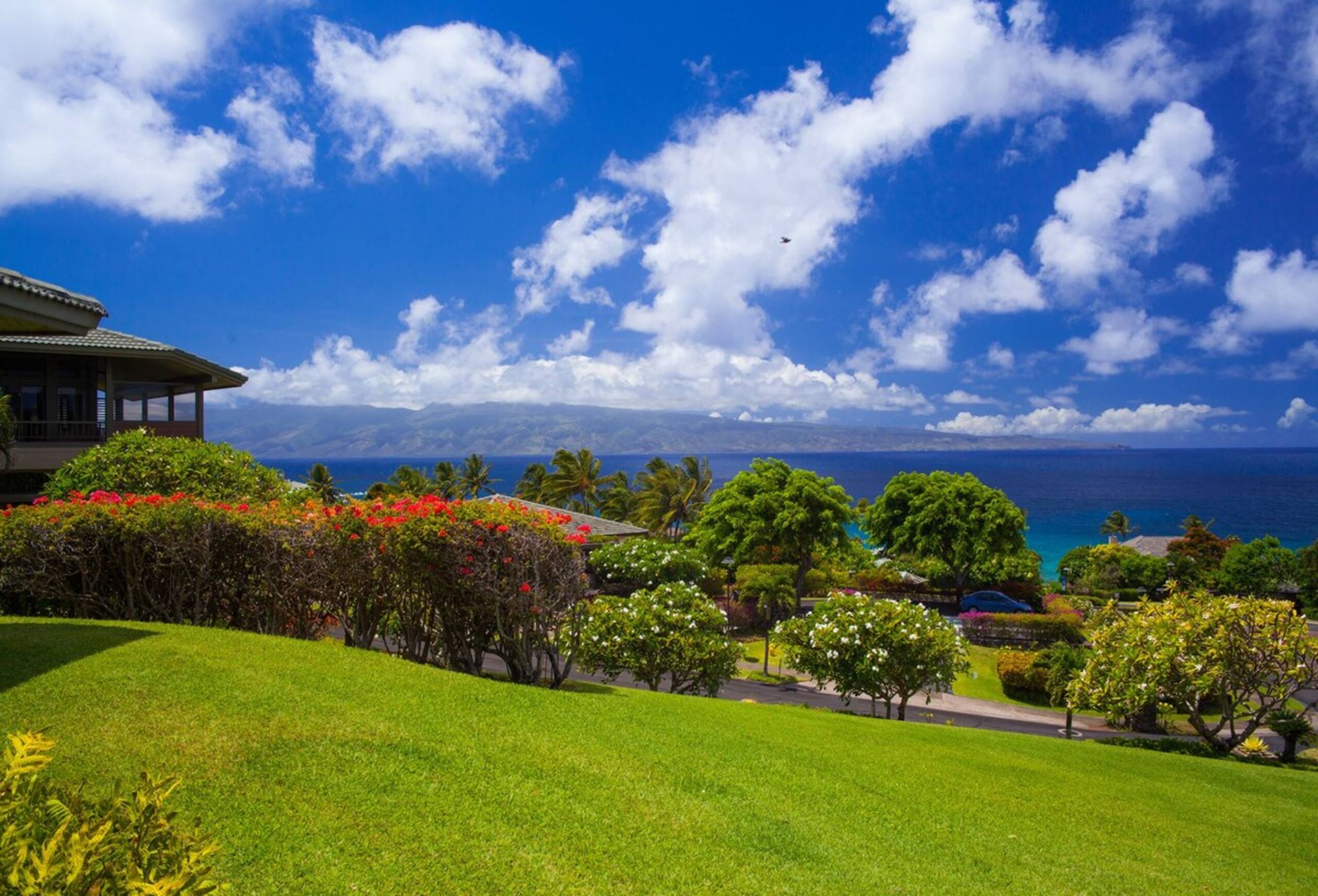 Villa in Lahaina · ★4.9 · 1 bedroom · 2 beds · 2 baths - Image 15