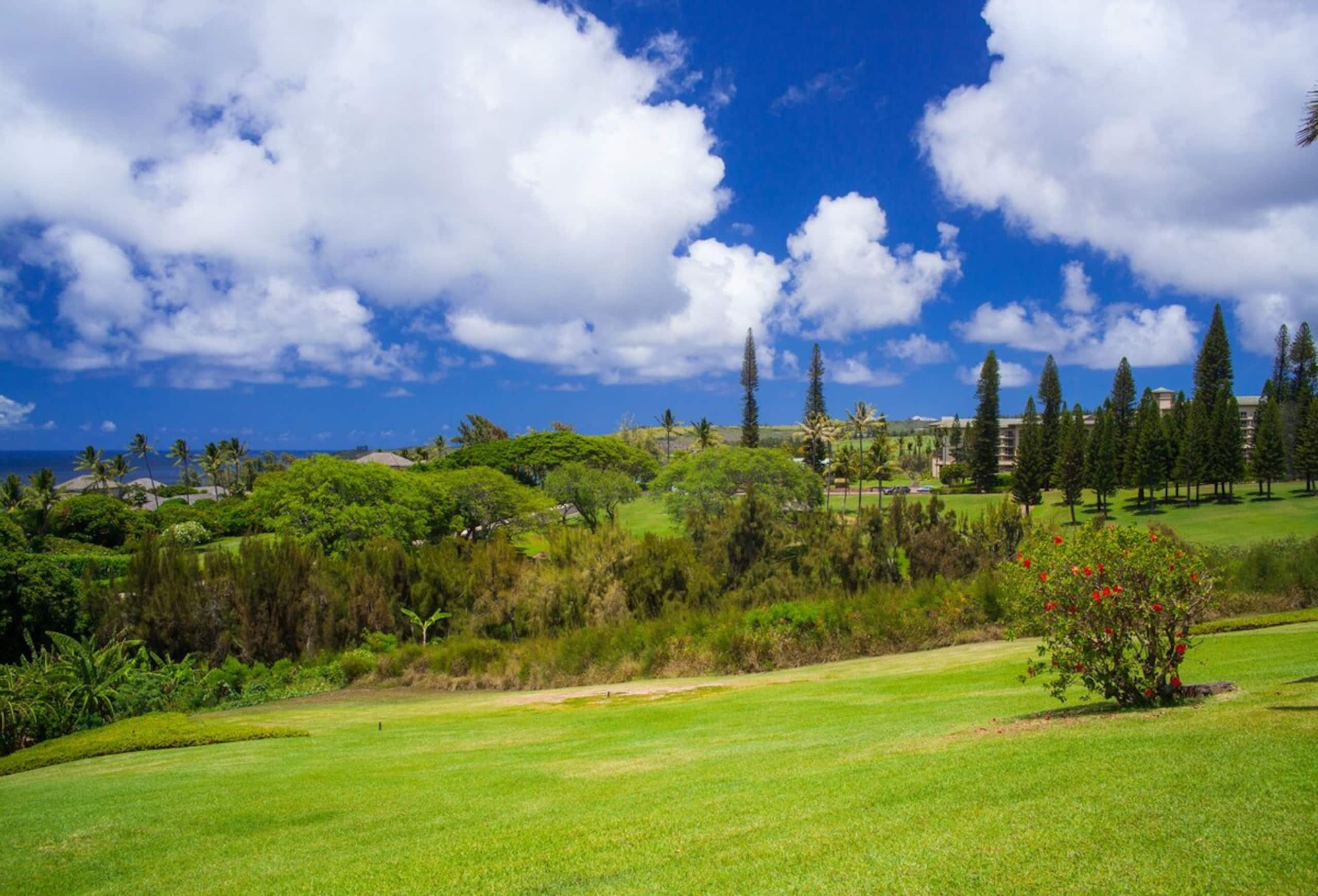 Villa in Lahaina · ★4.9 · 1 bedroom · 2 beds · 2 baths - Image 19