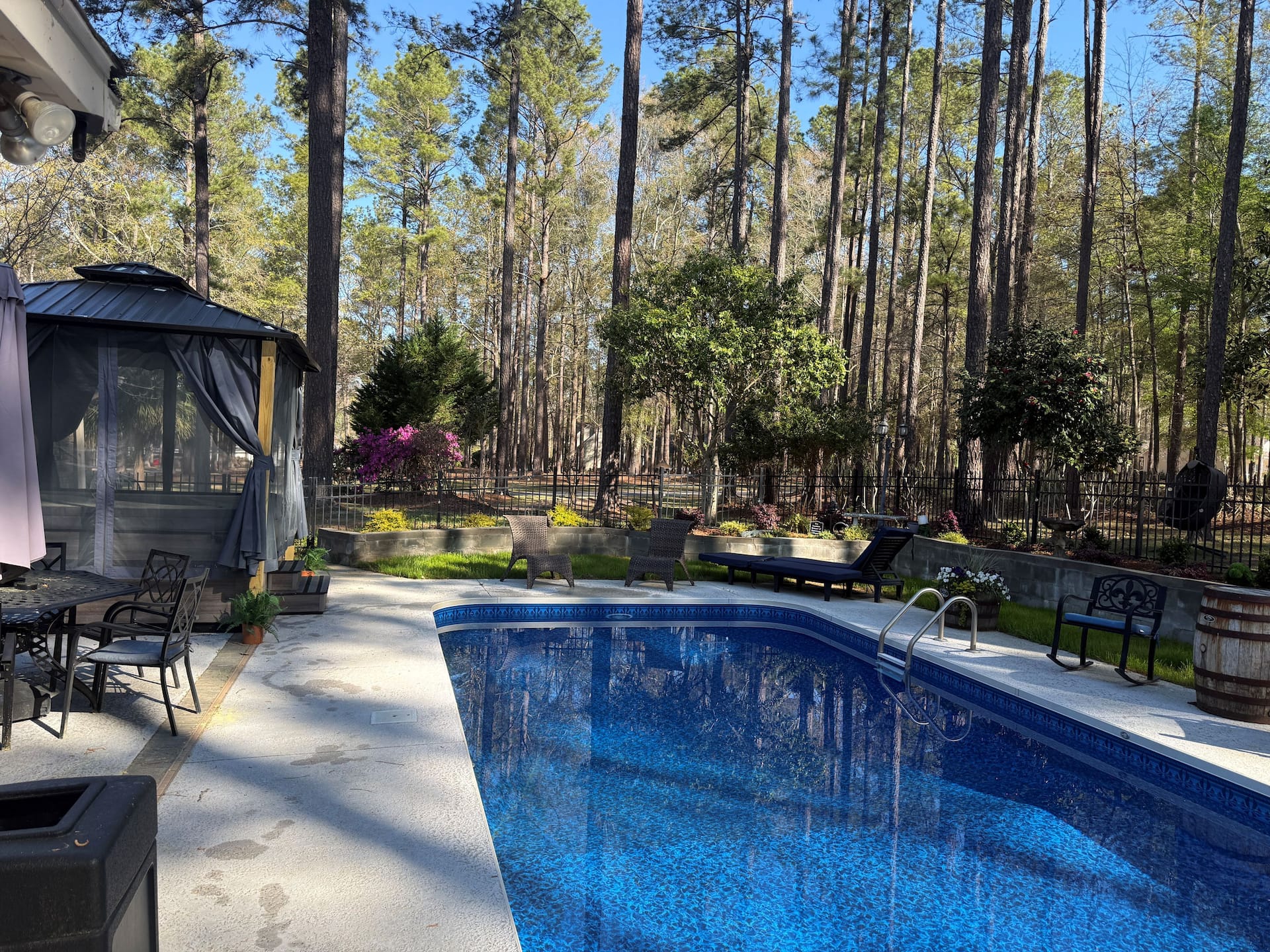 Georgia's Nature Retreat On Old Mill Pond — photo 5