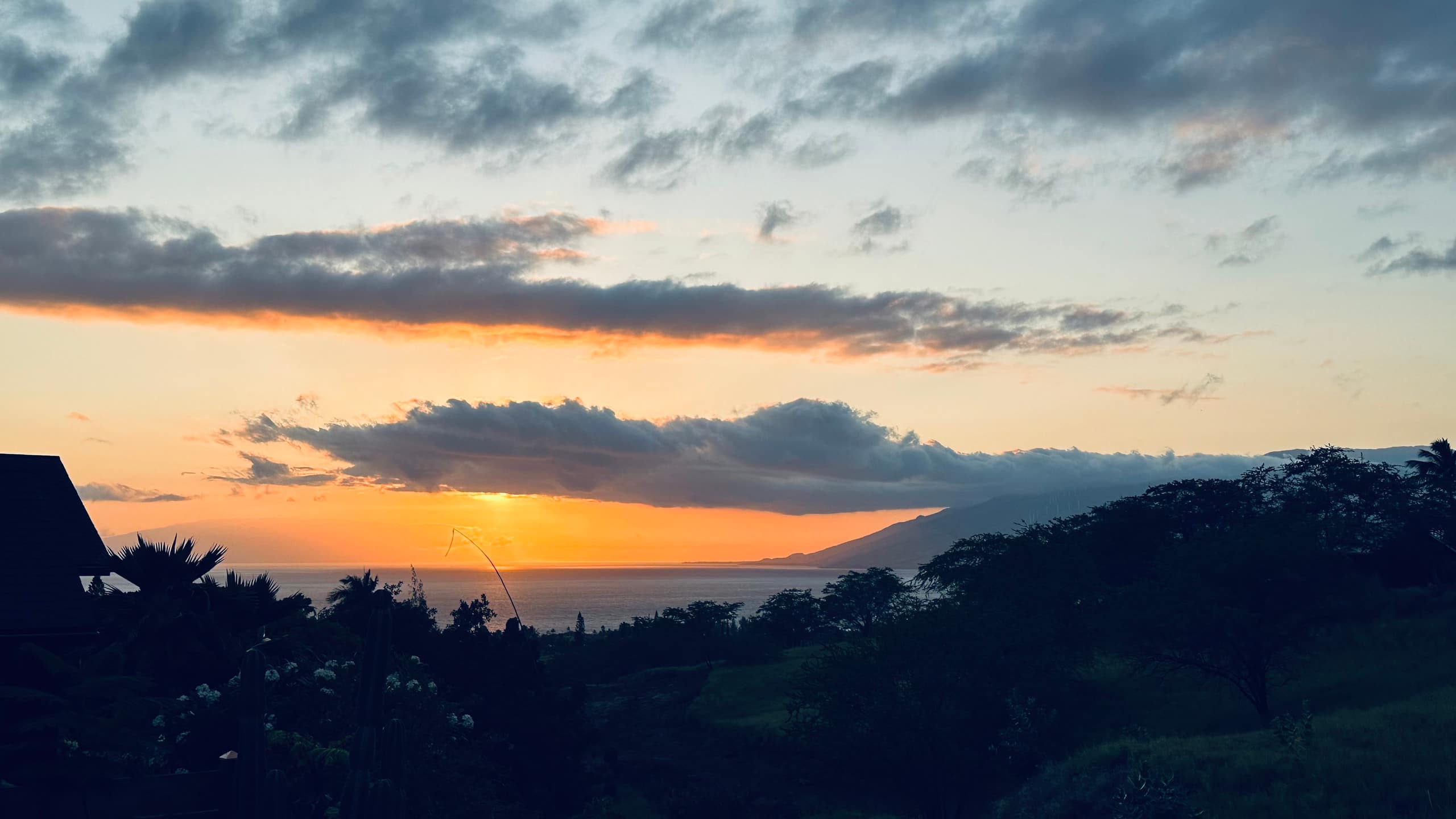 South Maui Oceanview Solo Cottage - Photo 180