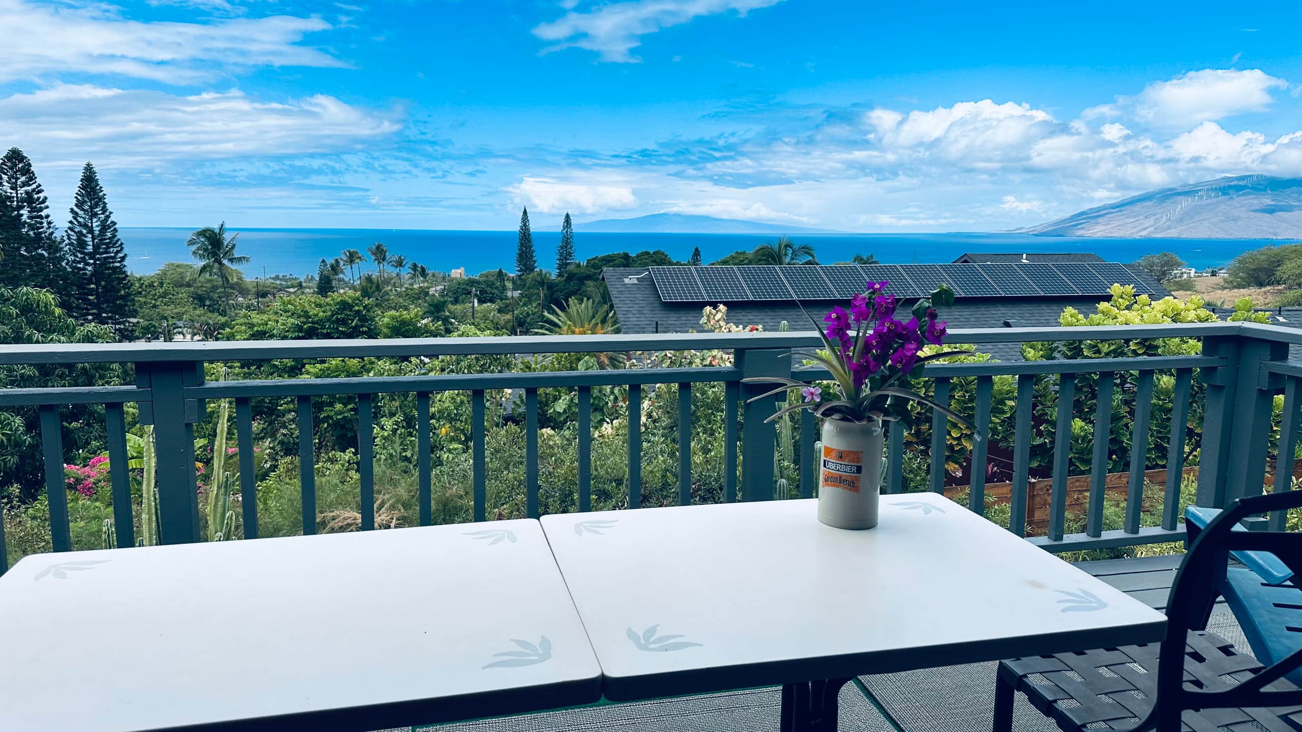 South Maui Oceanview Solo Cottage - Photo 96