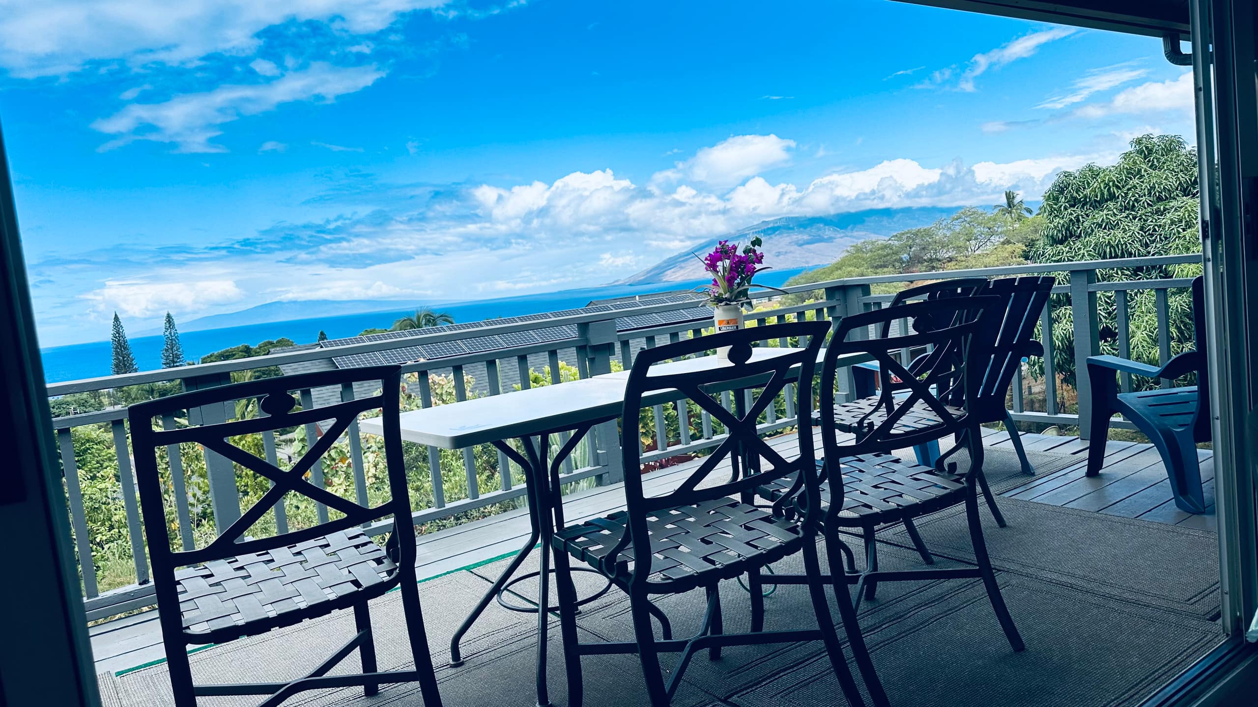 South Maui Oceanview Solo Cottage - Photo 95