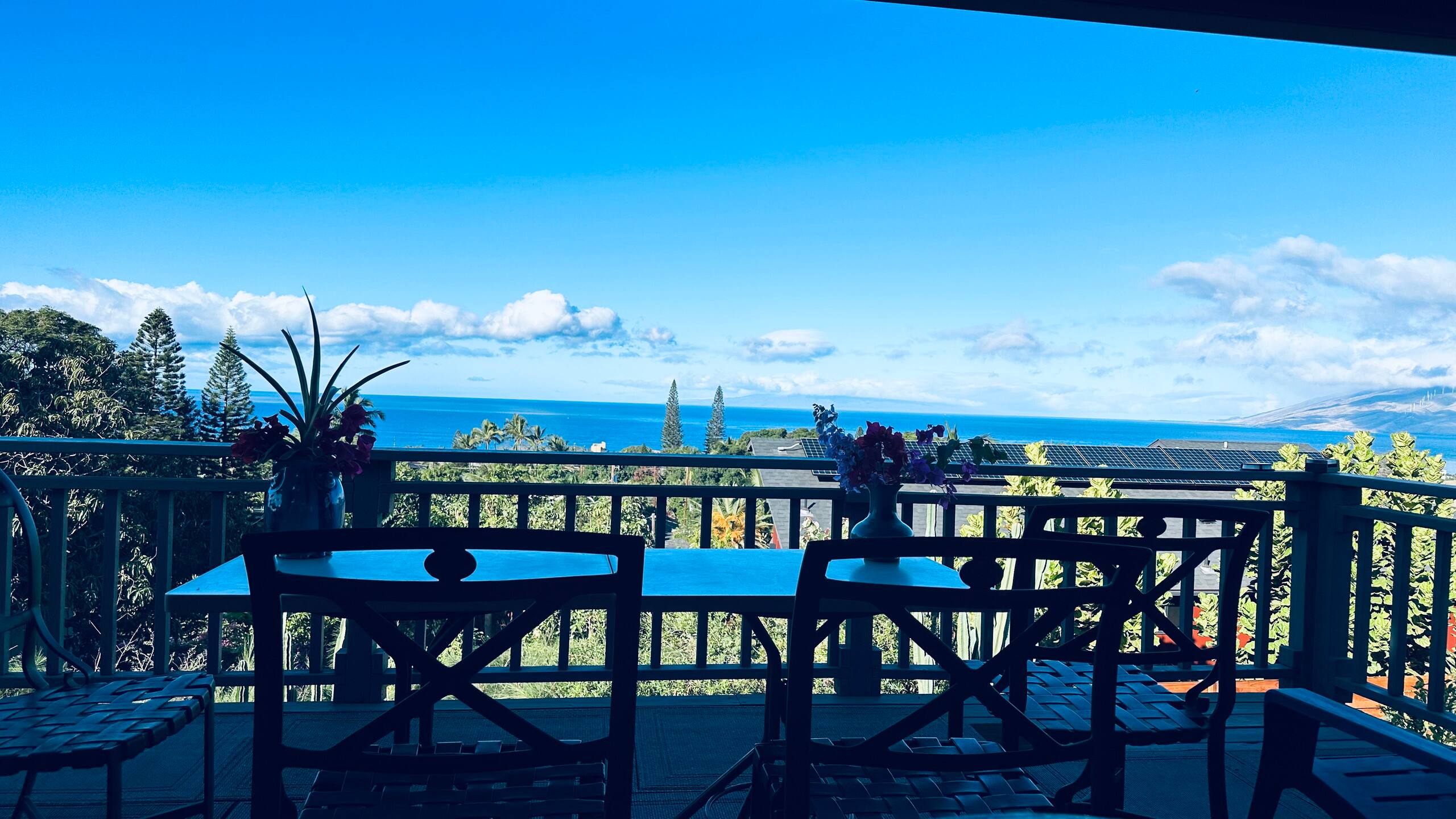 South Maui Oceanview Solo Cottage - Photo 89