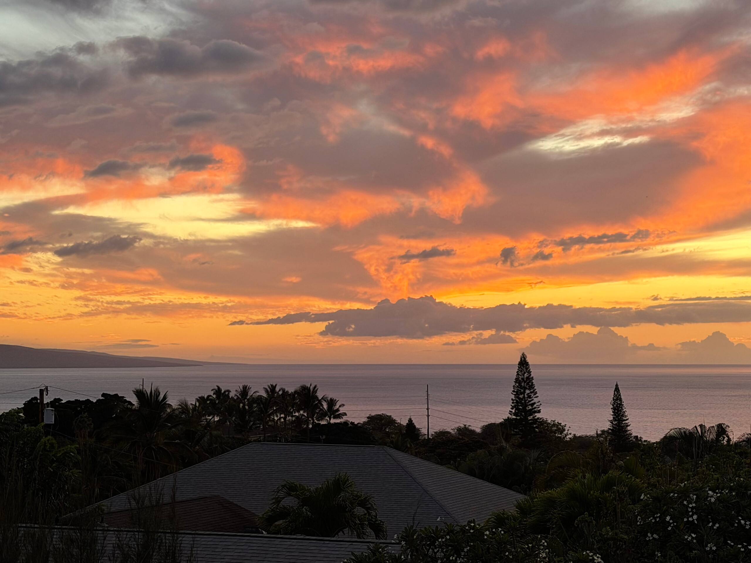 South Maui Oceanview Solo Cottage - Photo 201