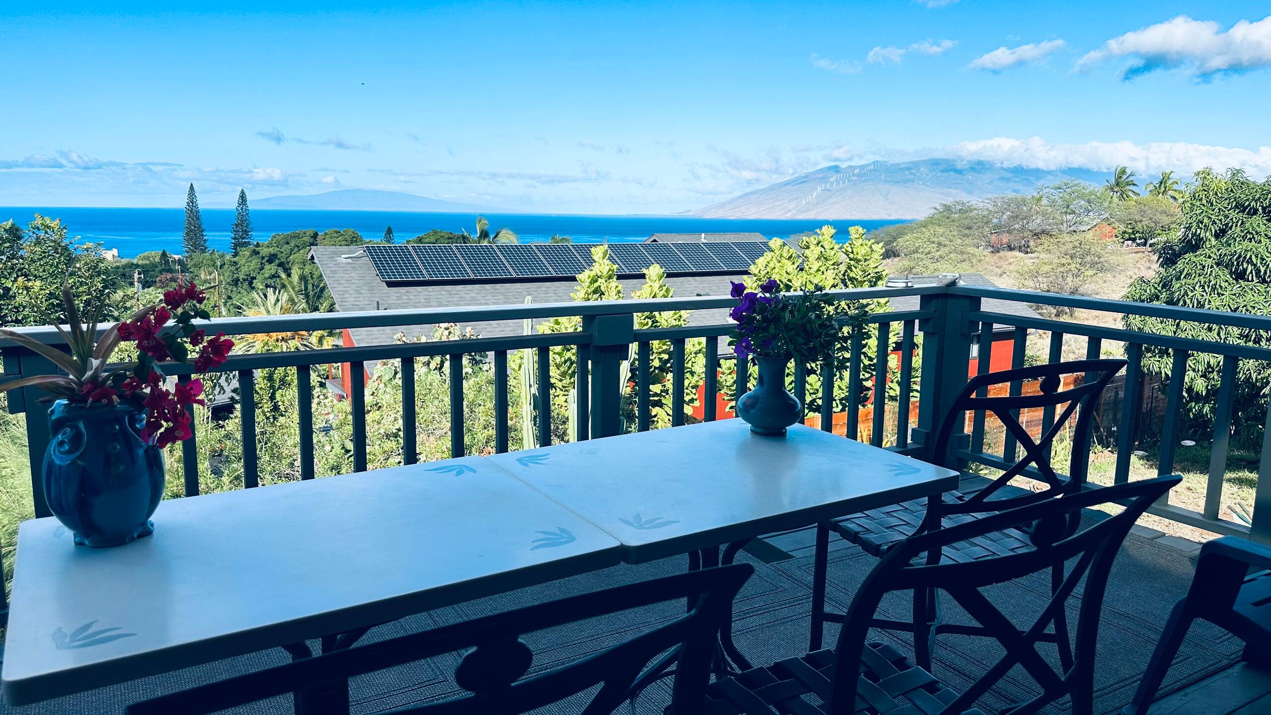 South Maui Oceanview Solo Cottage - Photo 84