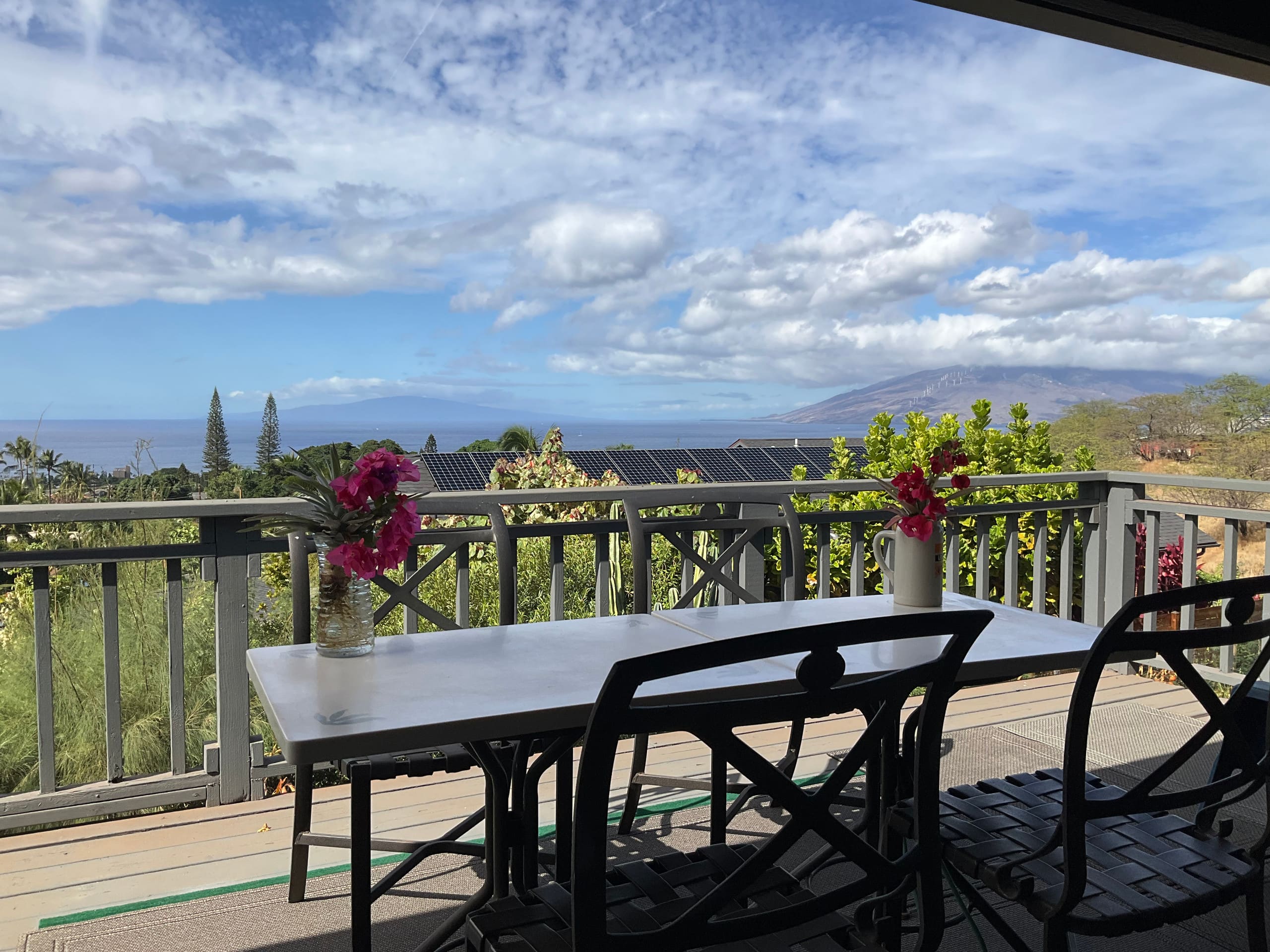 South Maui Oceanview Solo Cottage - Photo 100
