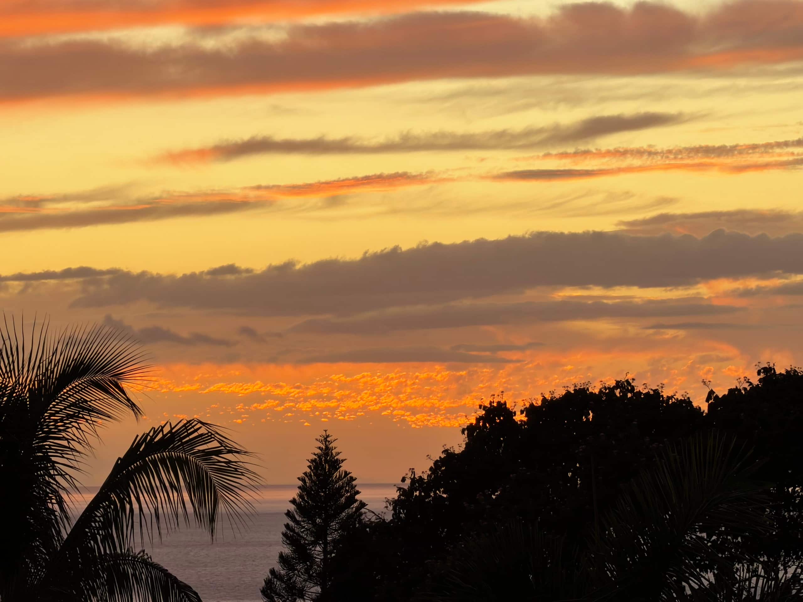 South Maui Oceanview Solo Cottage - Photo 200