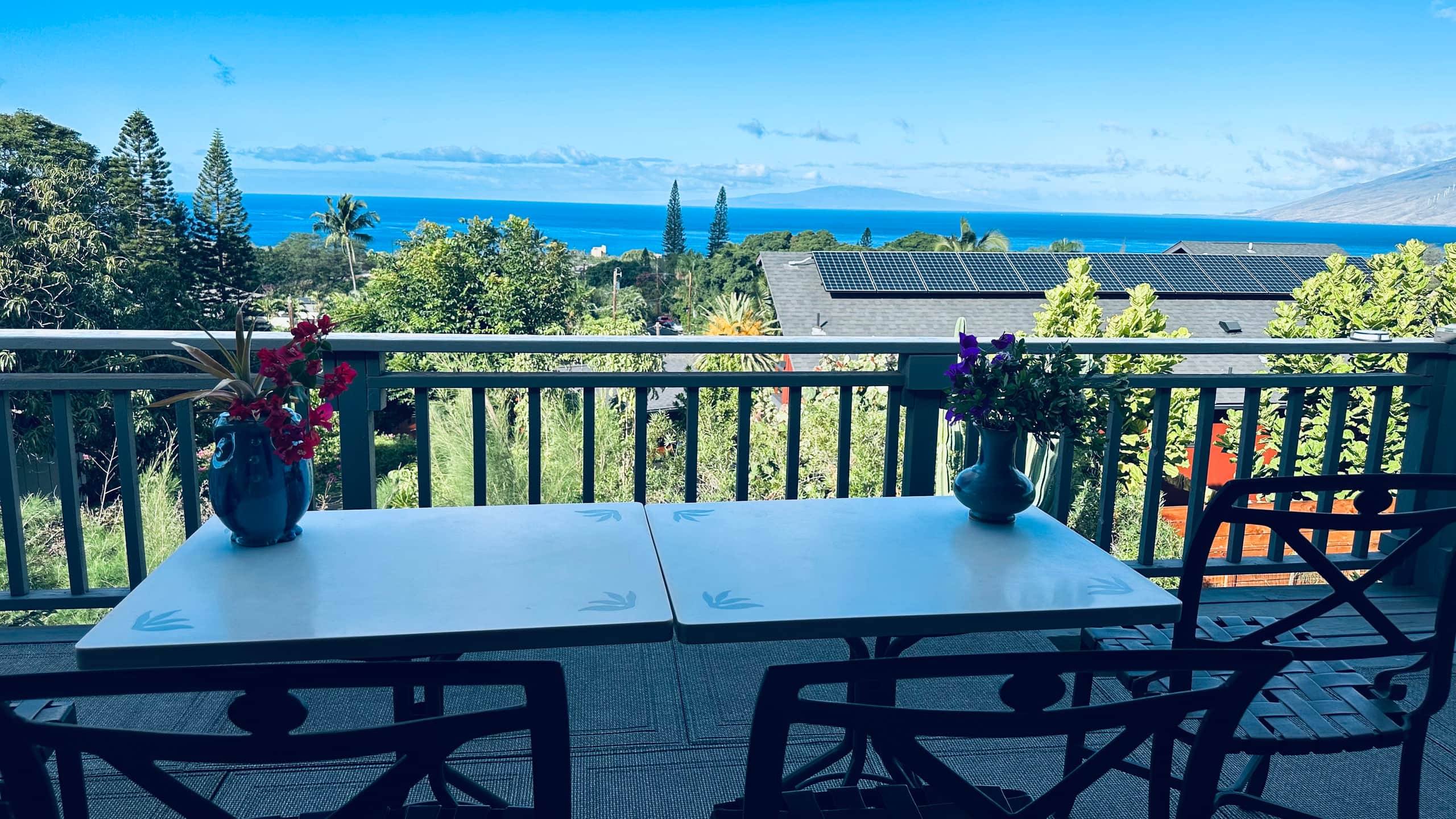 South Maui Oceanview Solo Cottage - Photo 83