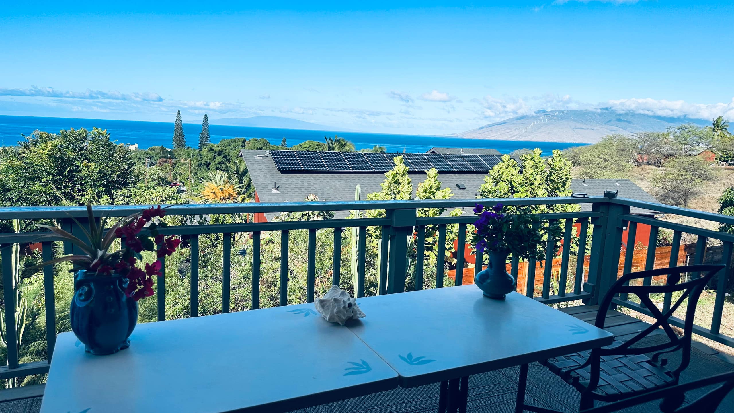 South Maui Oceanview Solo Cottage - Photo 85