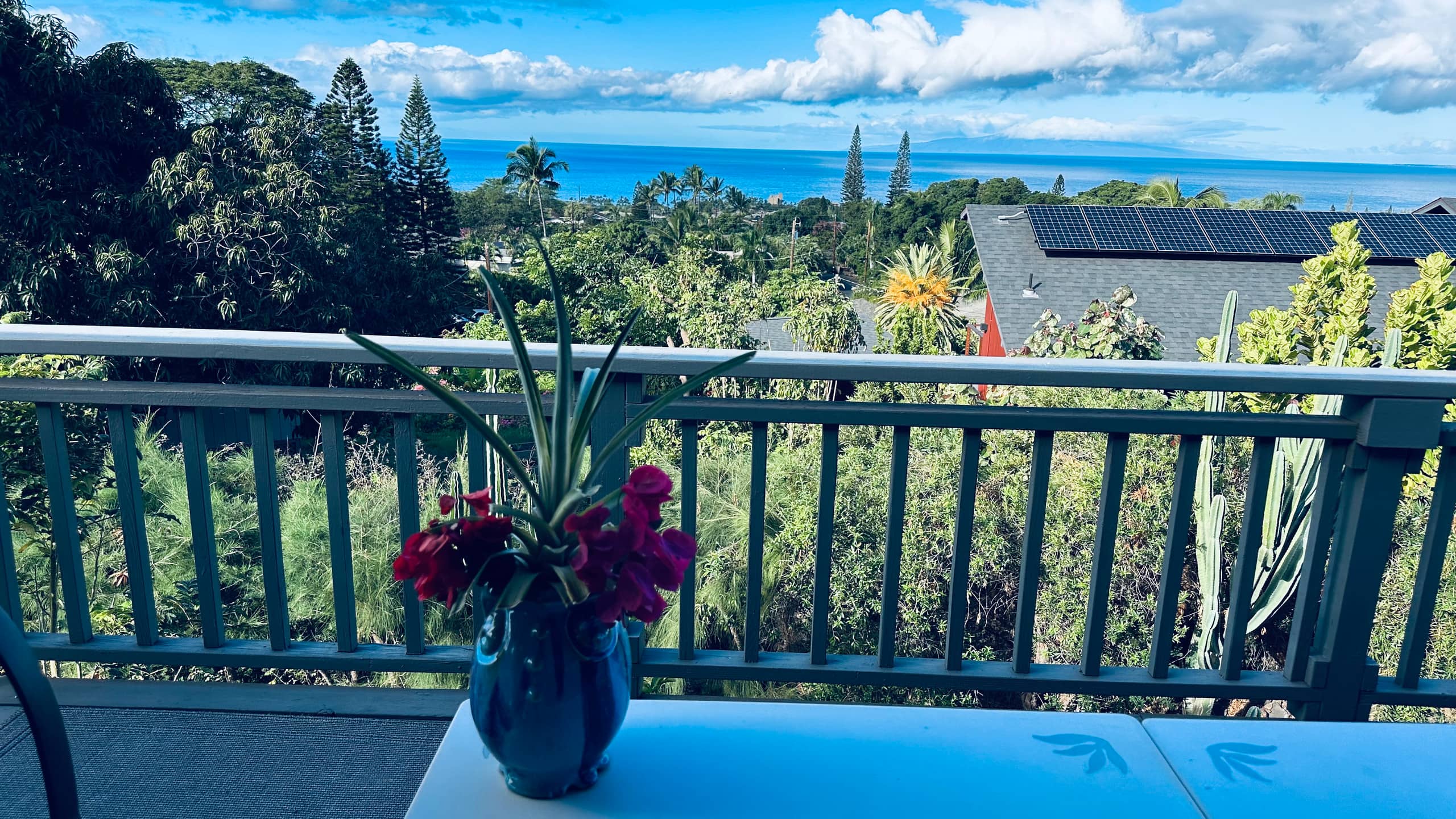 South Maui Oceanview Solo Cottage - Photo 87