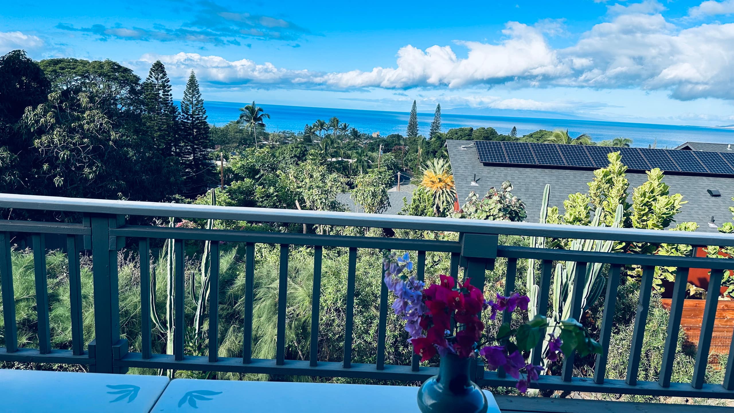 South Maui Oceanview Solo Cottage - Photo 86