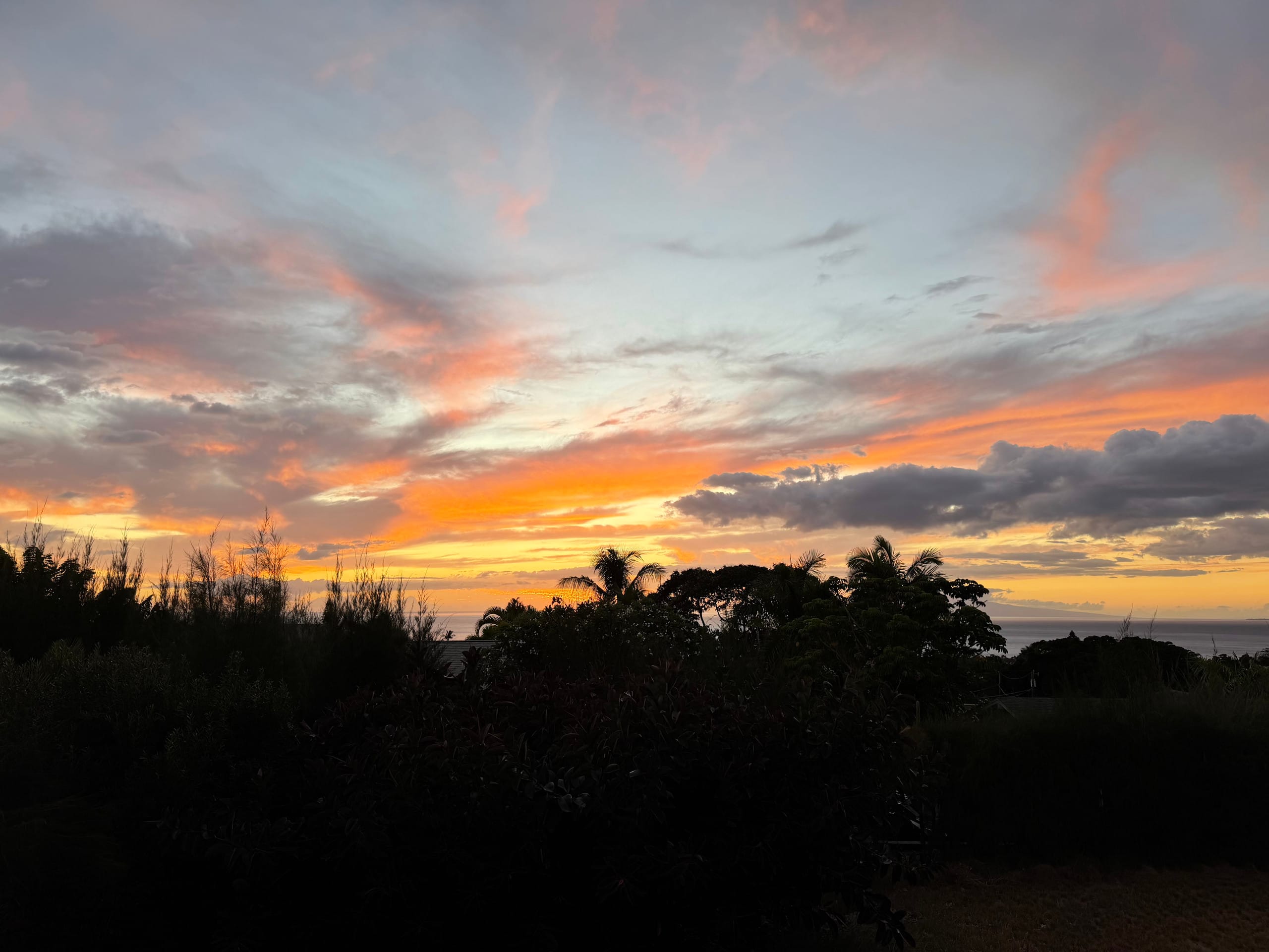 South Maui Oceanview Solo Cottage - Photo 202