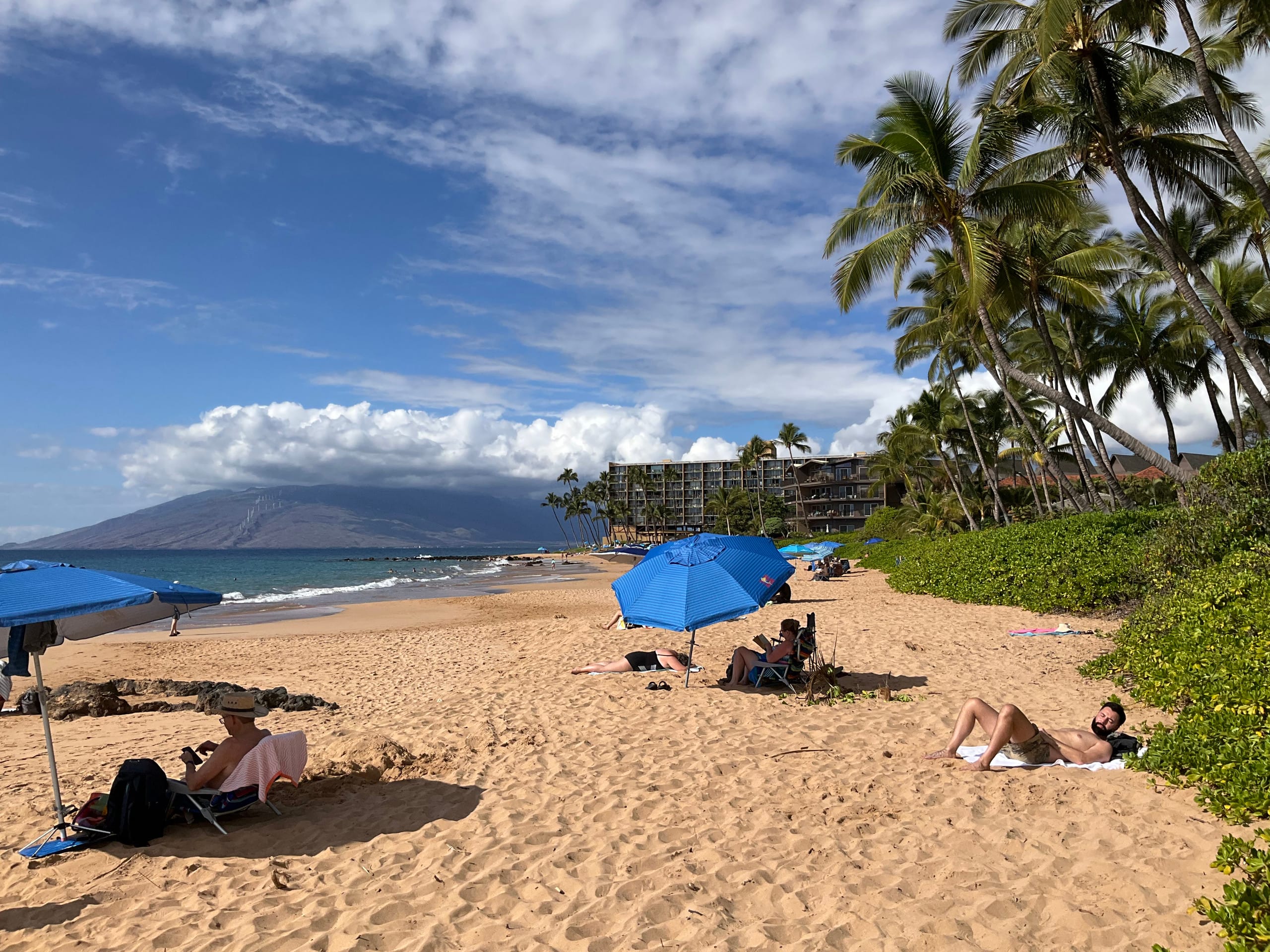 South Maui Oceanview Solo Cottage - Photo 212